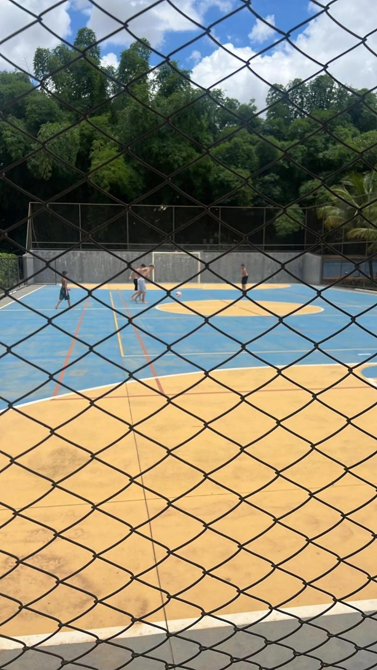 Golden Dolphin Express