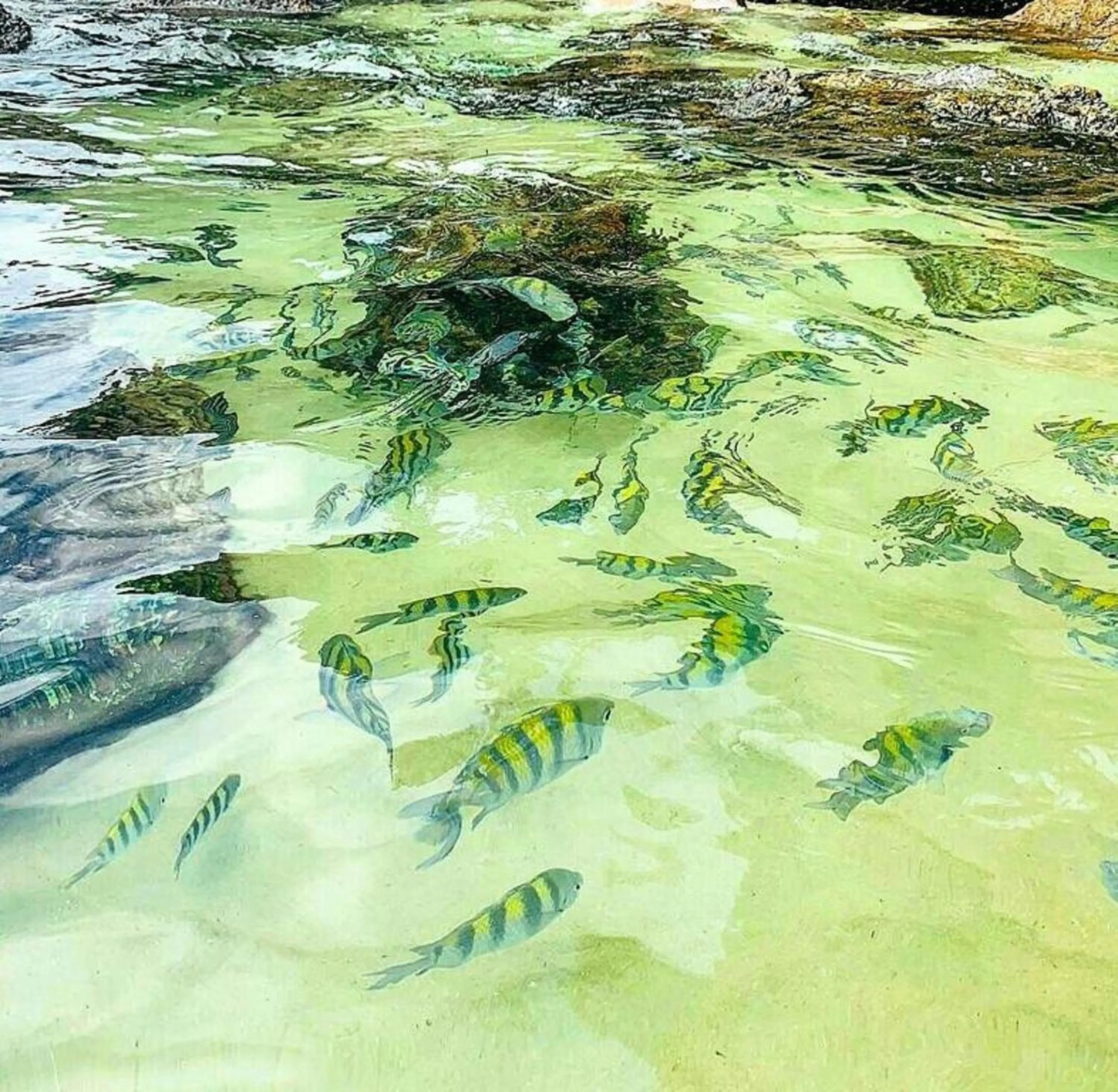 Praialar Apartamentos Ubatuba