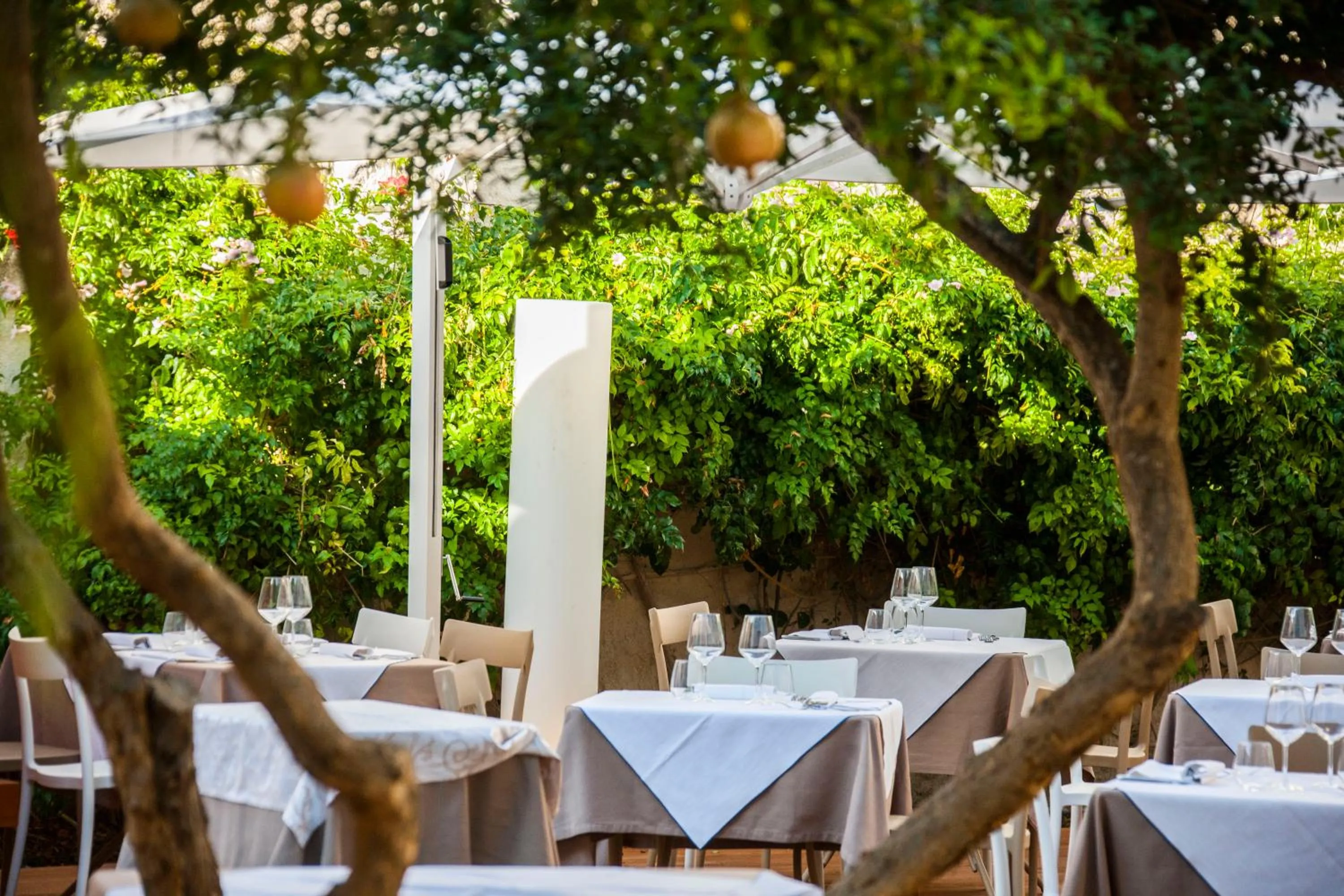 Restaurant/places to eat in Aegusa Hotel