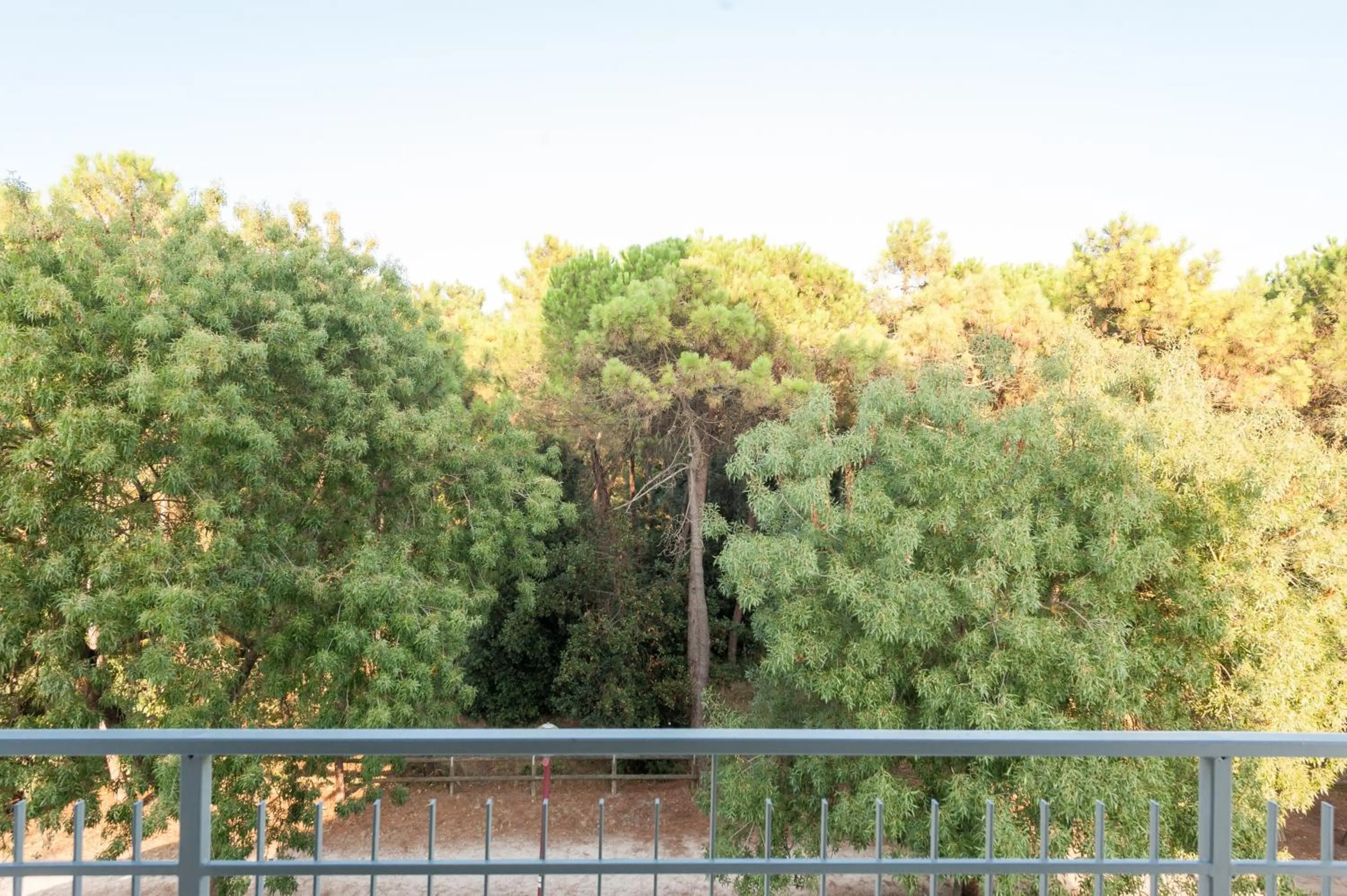 Sea view in Regina Hotel e Ristorante