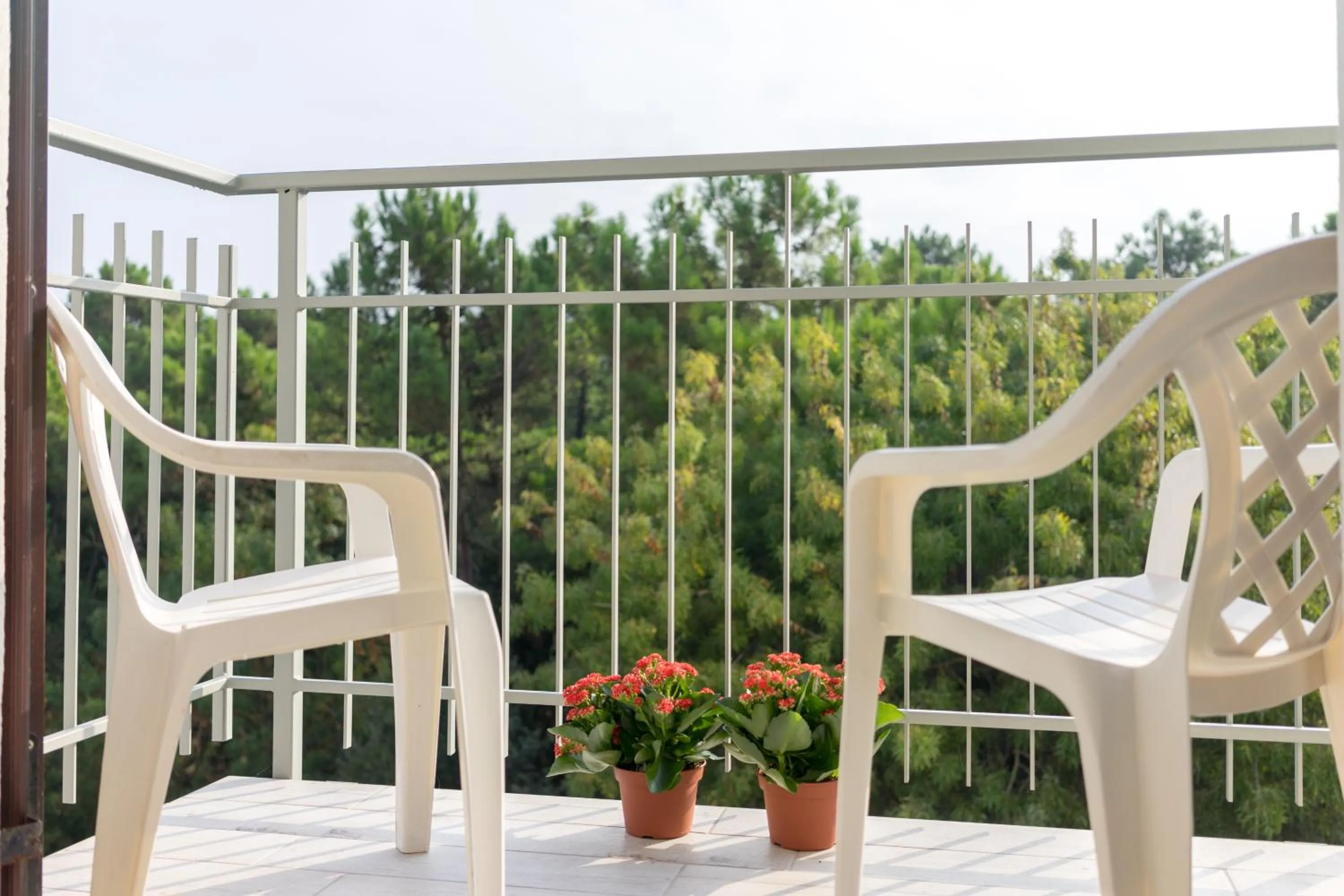 Balcony/Terrace in Regina Hotel e Ristorante
