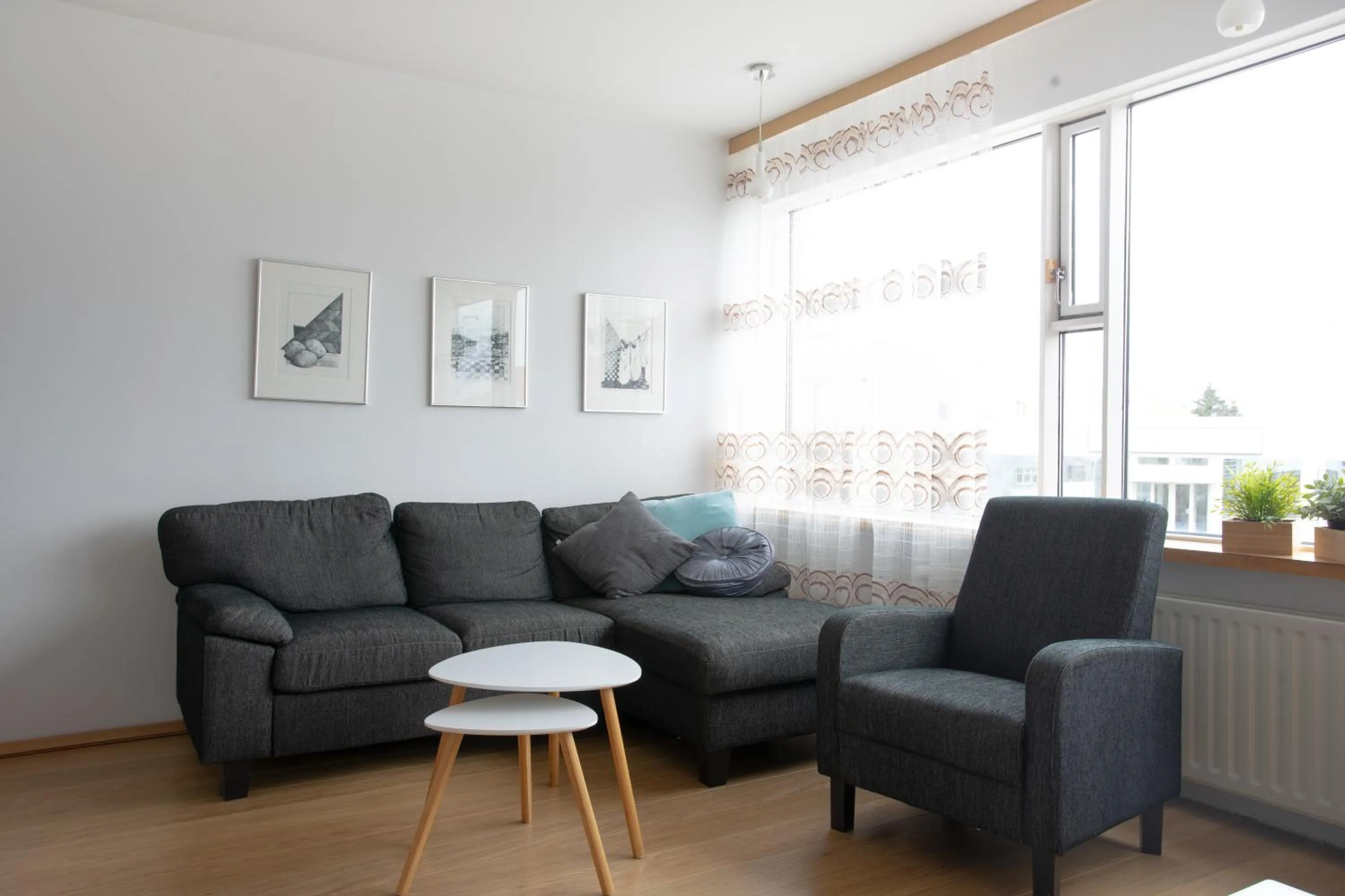 TV and multimedia in Old Airline Guesthouse