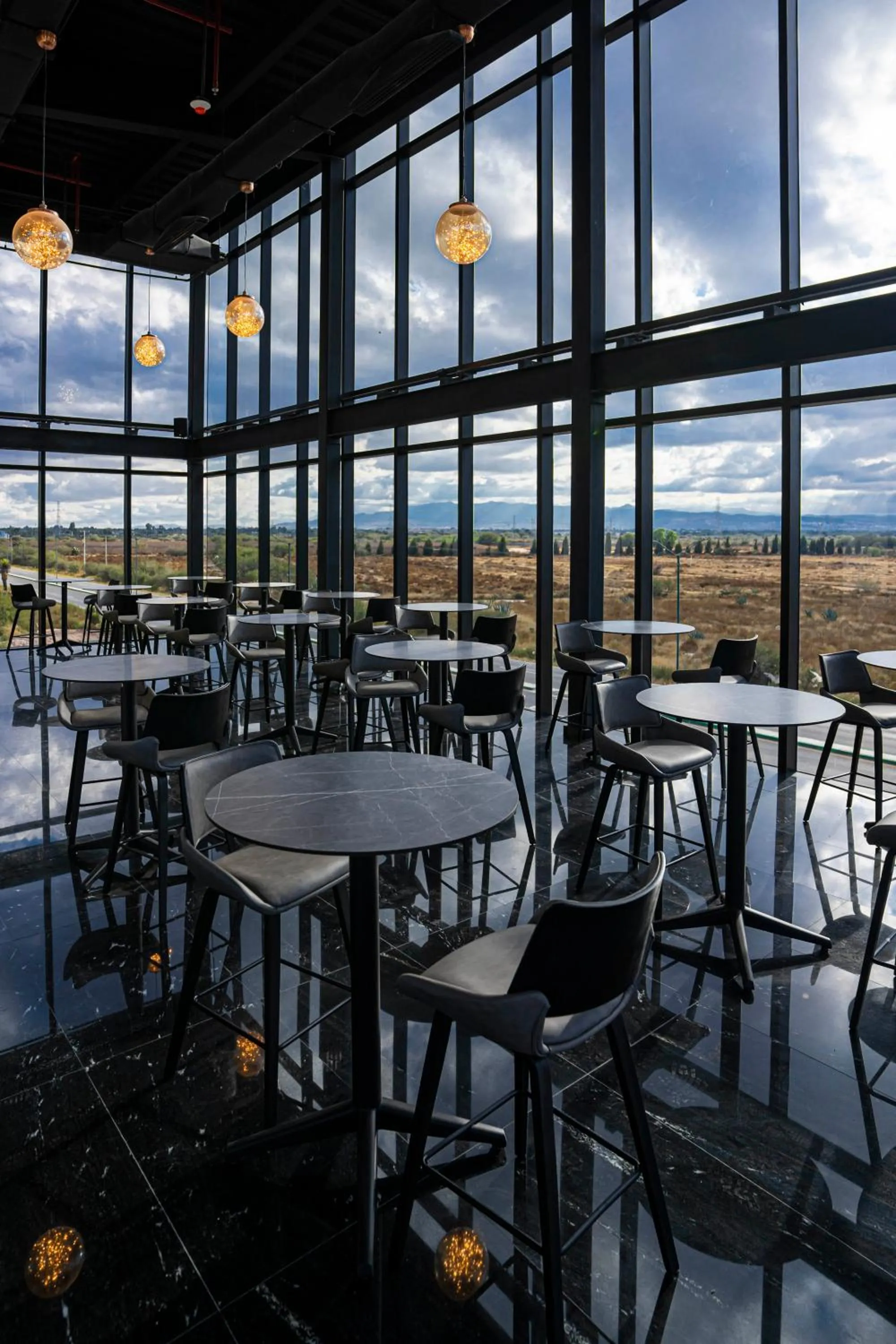 Lounge or bar in Radisson San Luis Potosi Aeropuerto