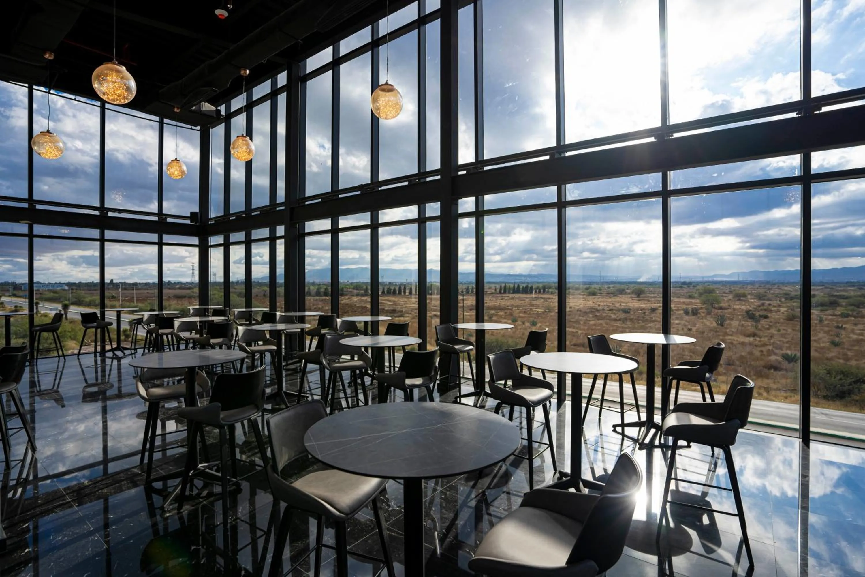 Lounge or bar in Radisson San Luis Potosi Aeropuerto