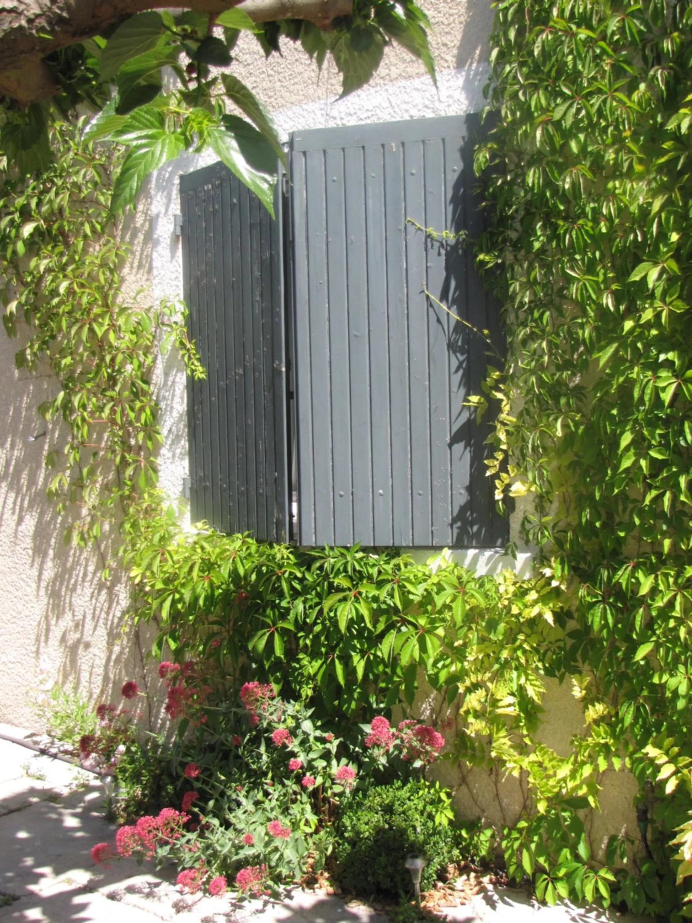 "Le Vent d'Étoile" B&B and Guesthouses