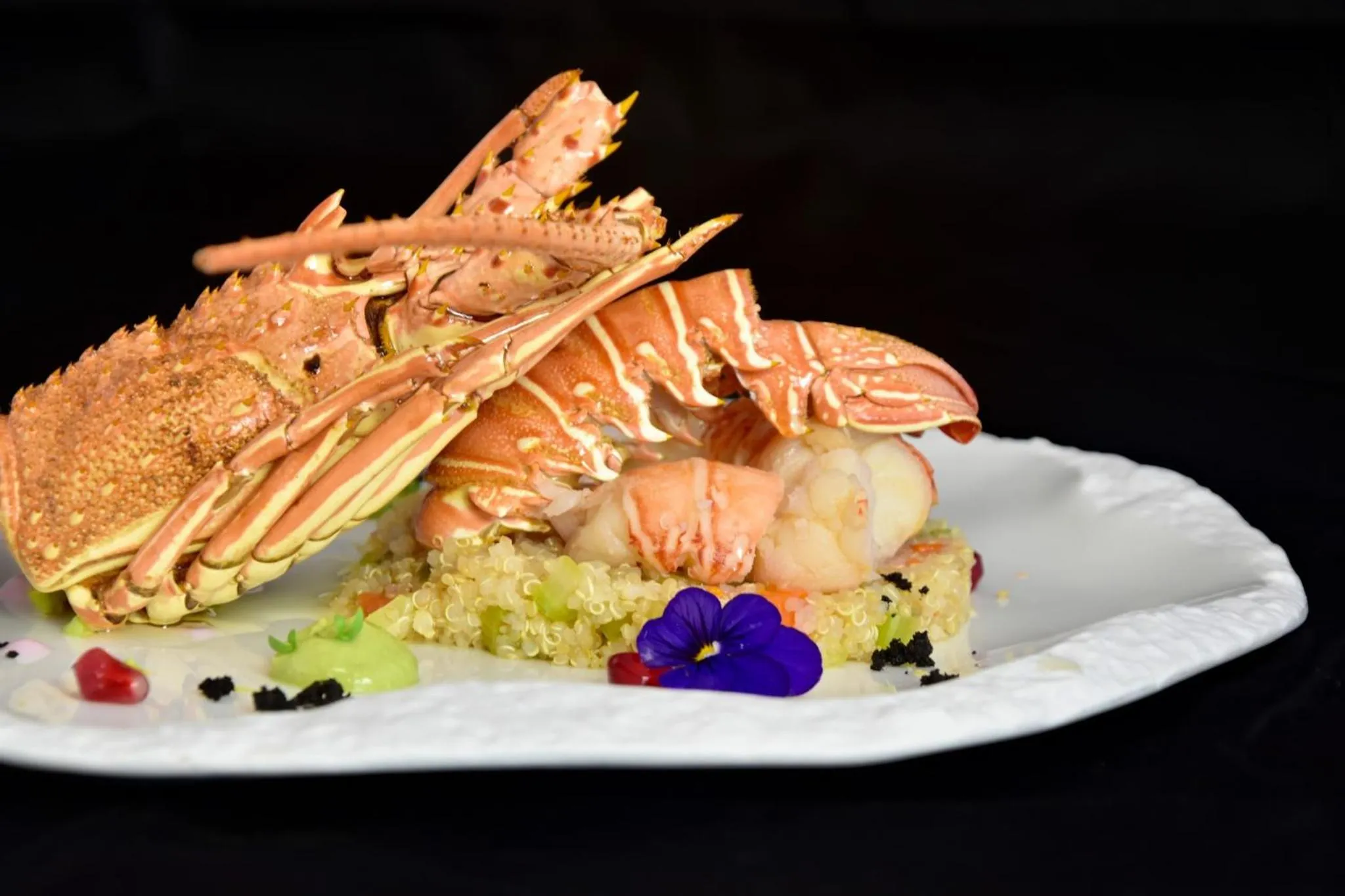 Food in D-Resort Šibenik