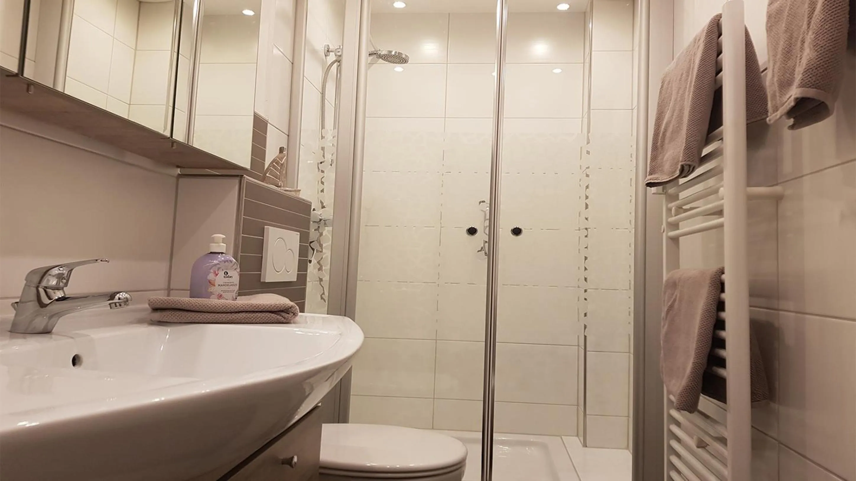 Bathroom in FeWo Aust EG