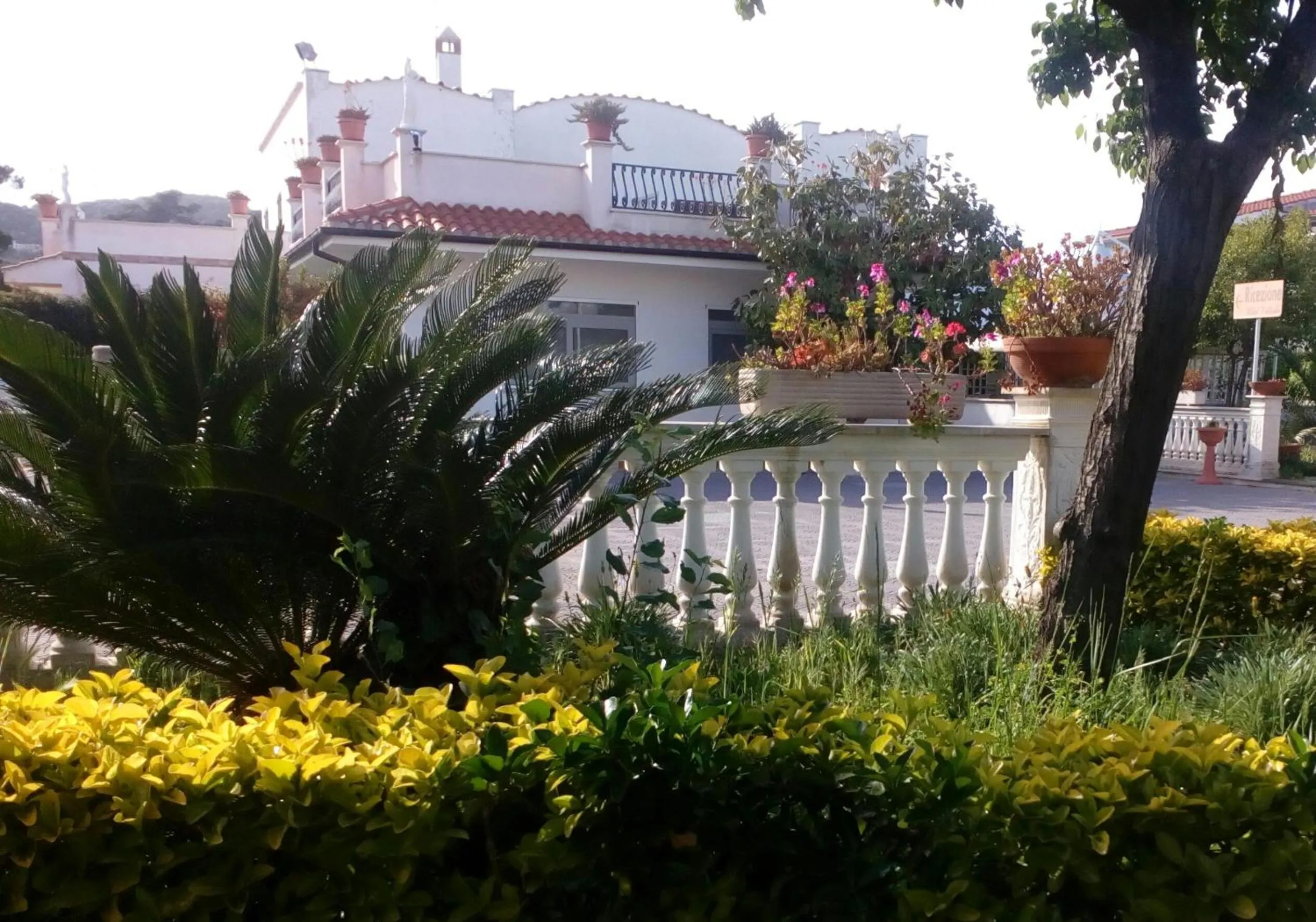 Hotel Vittoria