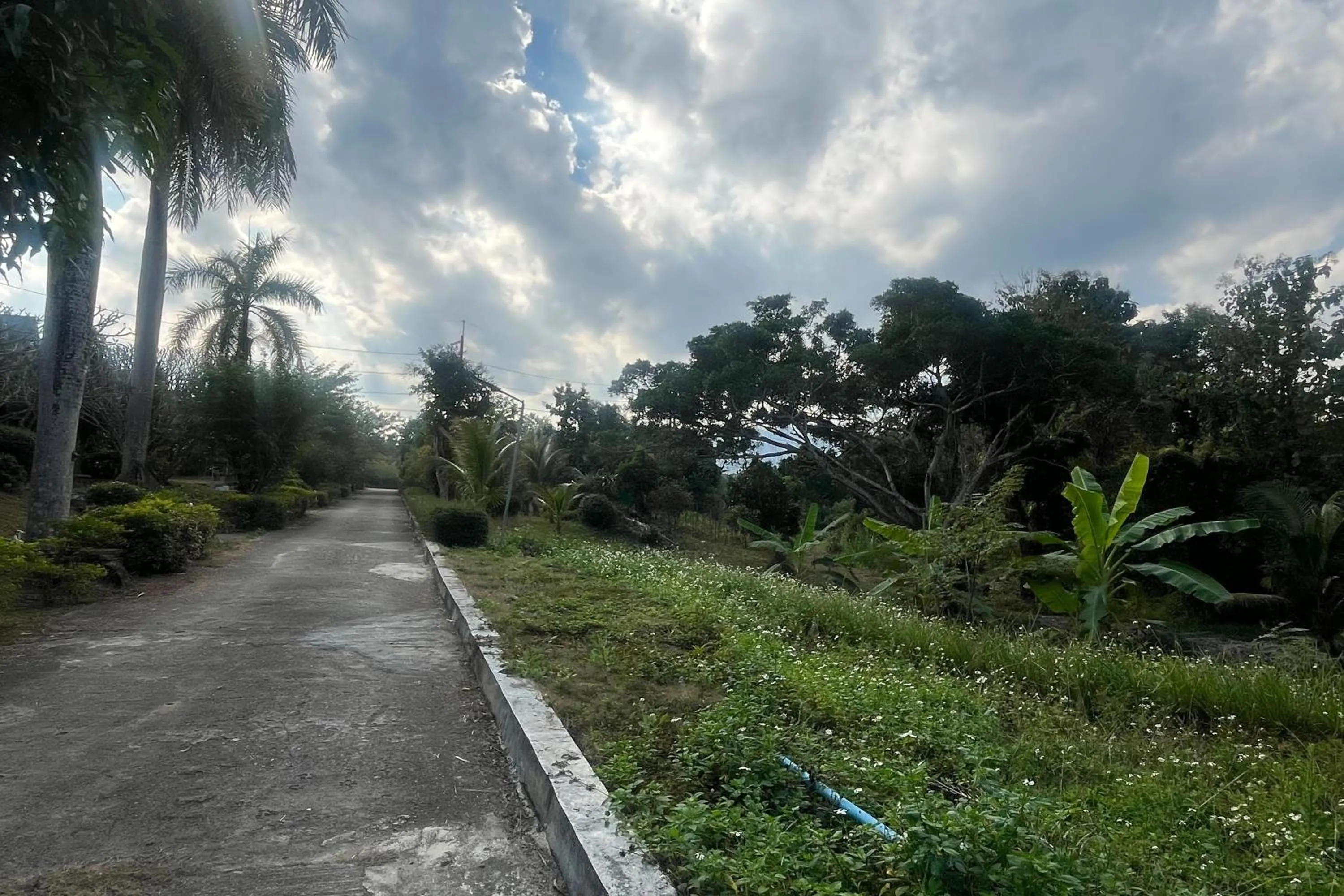 Natural landscape in PAI Hillside Resort