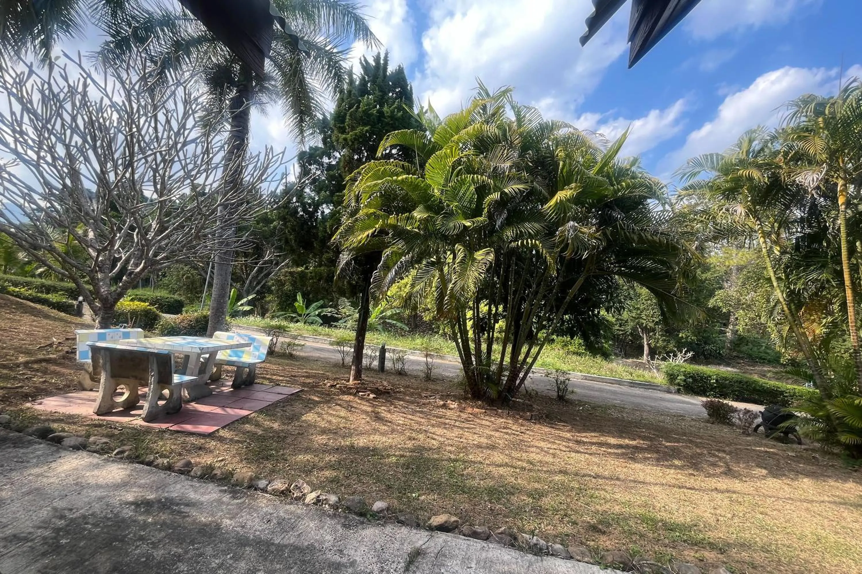 Natural landscape in PAI Hillside Resort