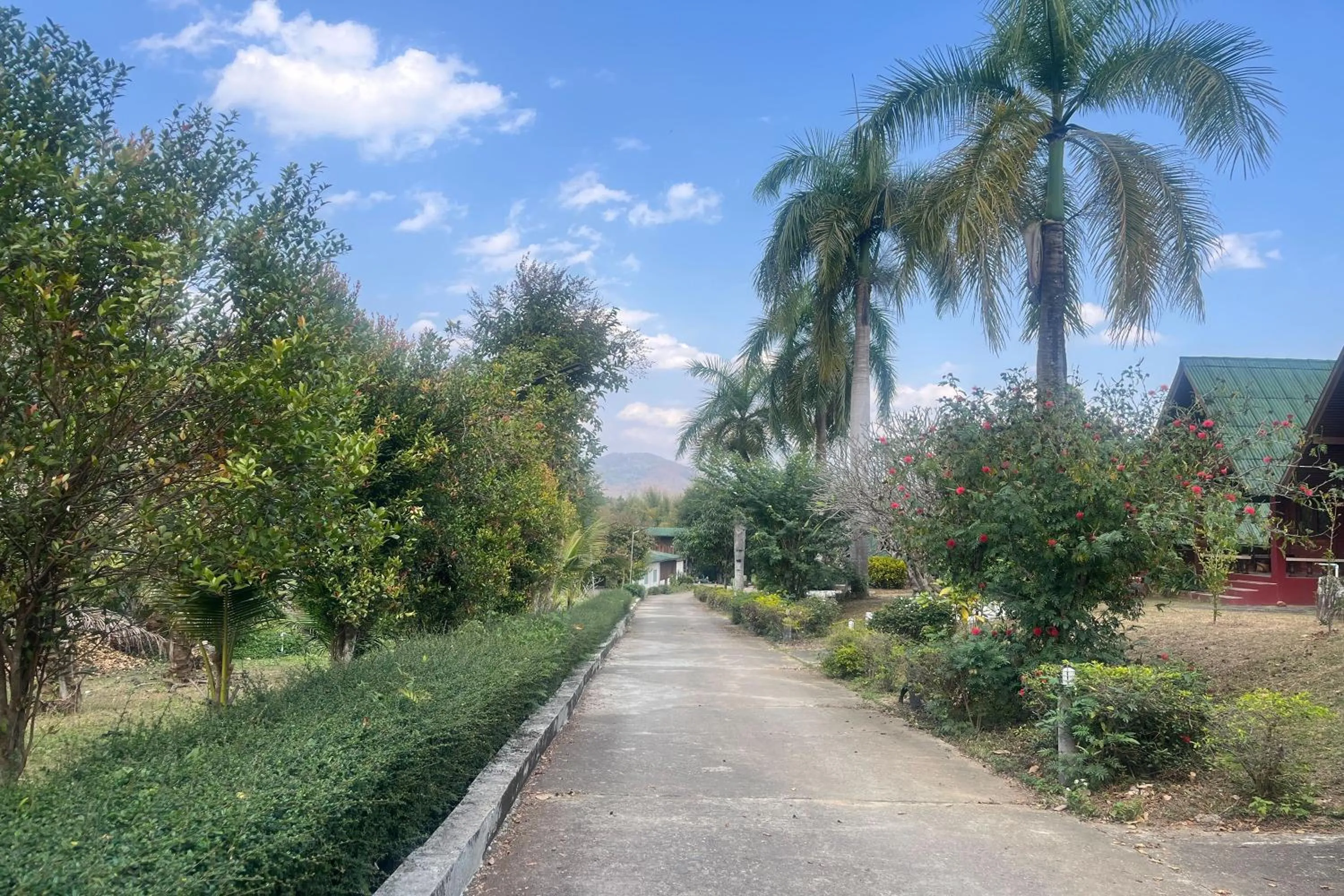 Natural landscape in PAI Hillside Resort