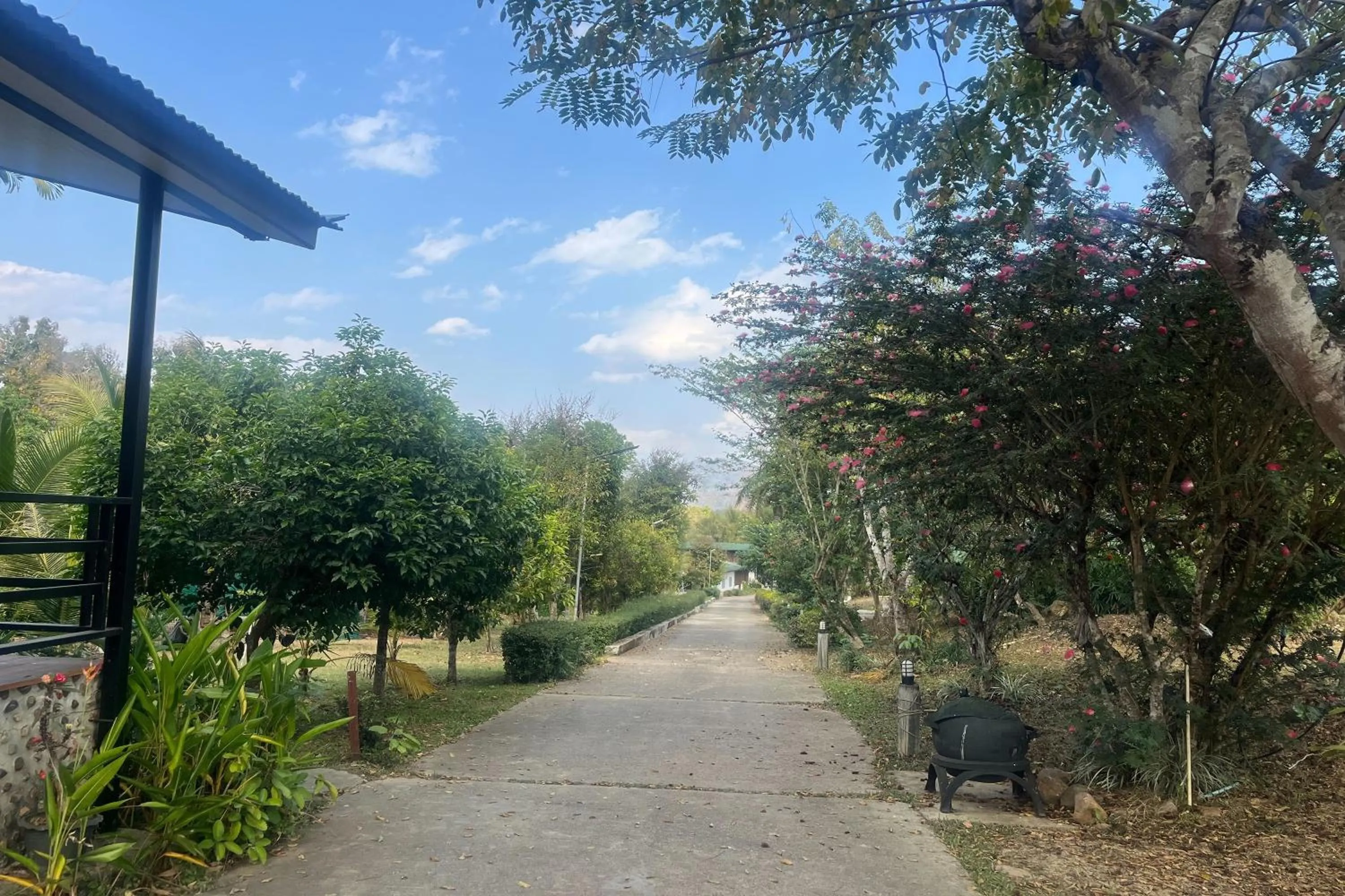 Natural landscape in PAI Hillside Resort