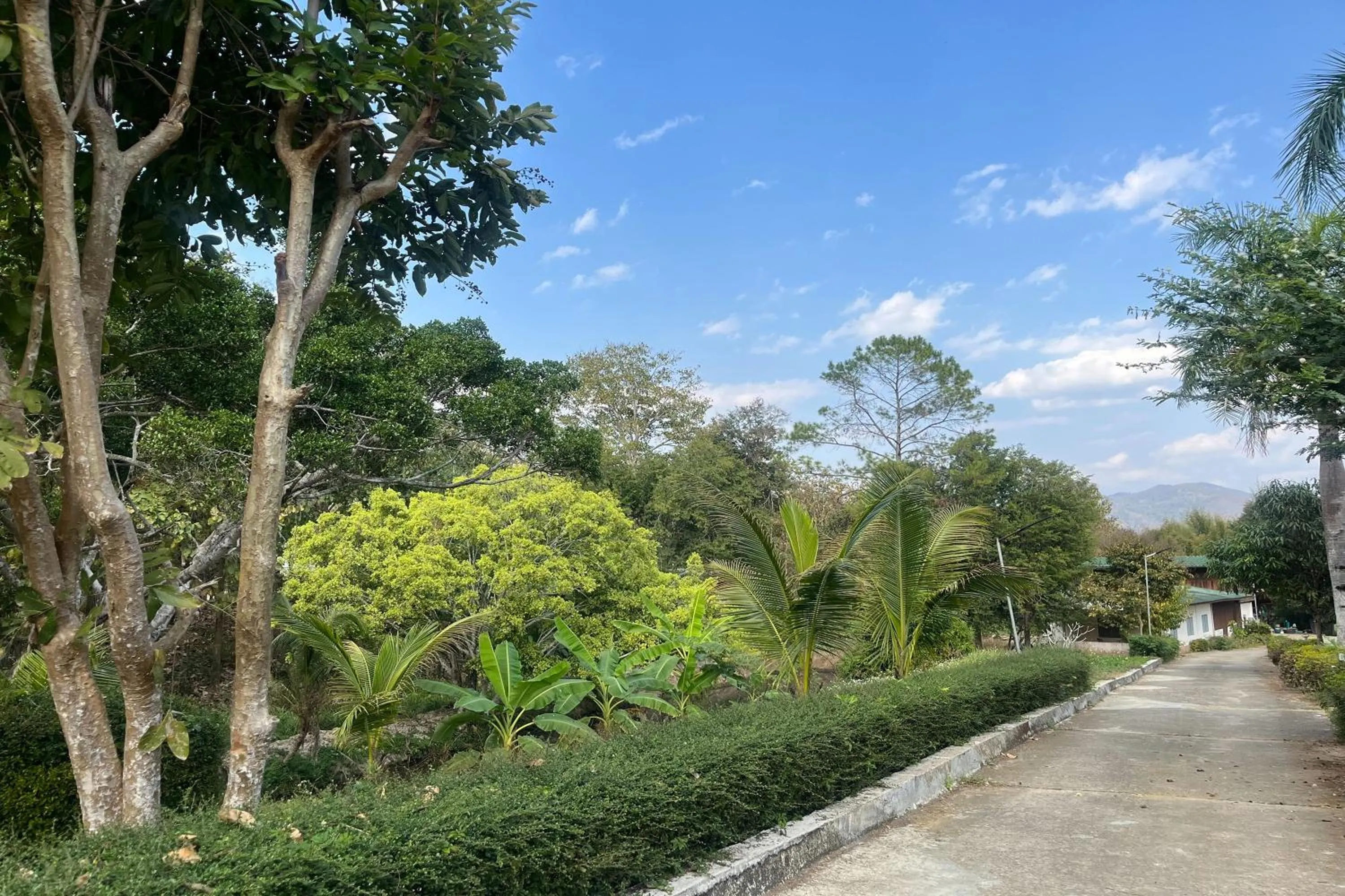 Natural landscape in PAI Hillside Resort