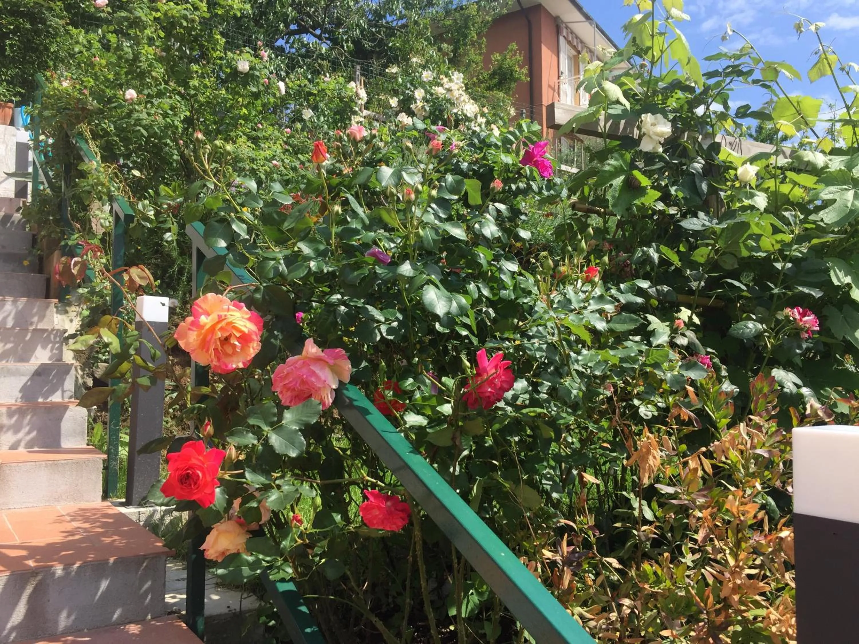 Garden in Ca' Du Ale