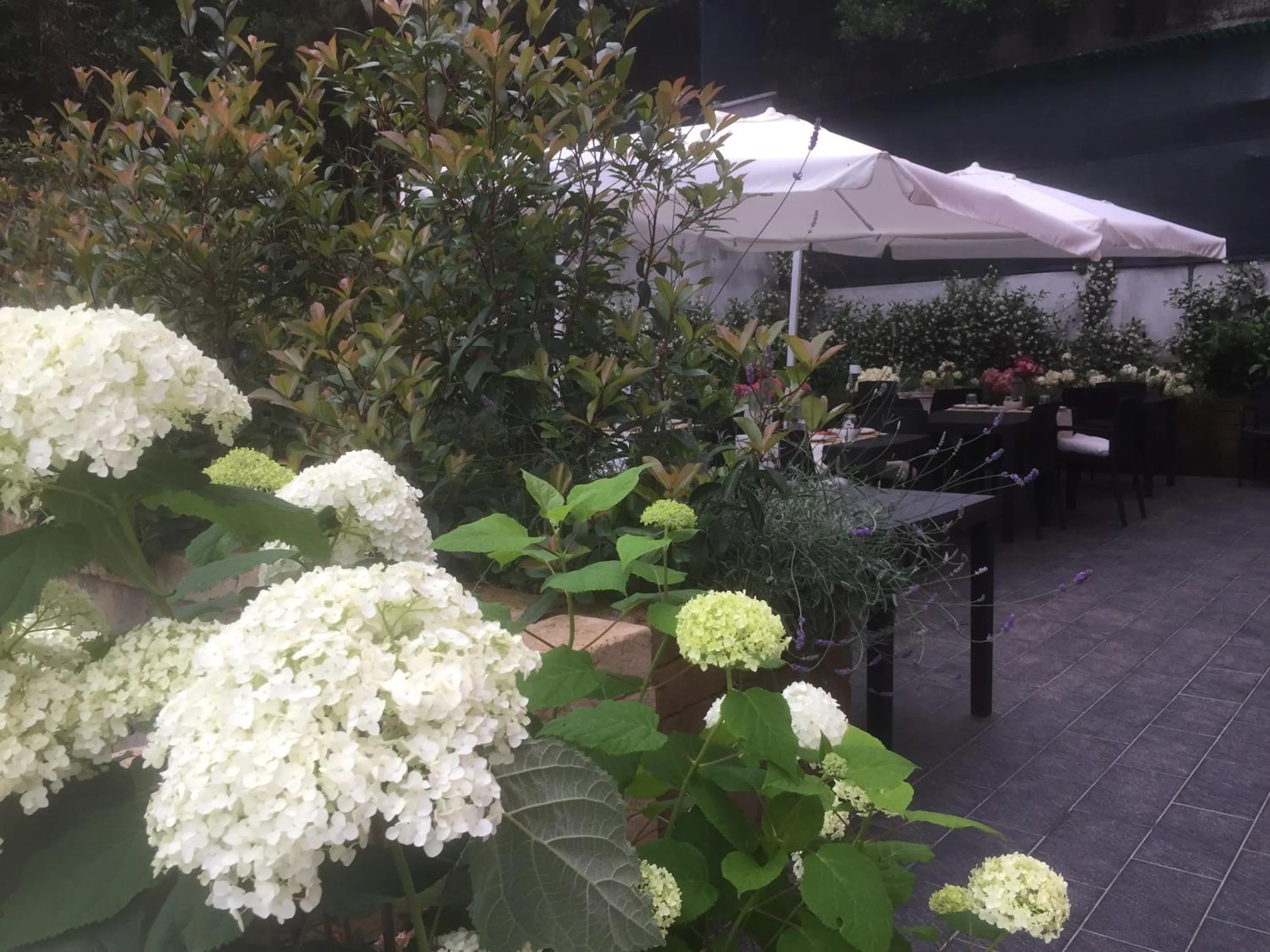 Garden in Ca' Du Ale