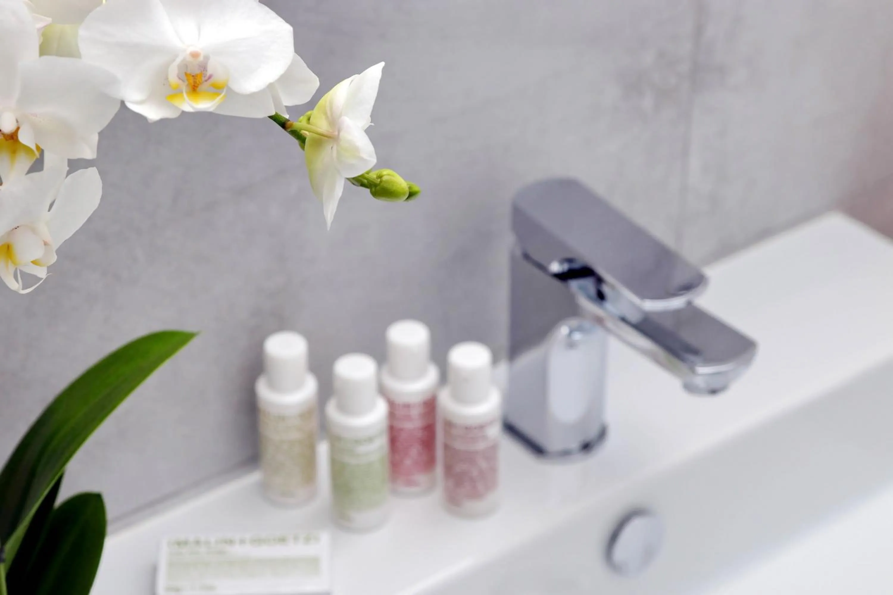 Bathroom in Vico Rooms and Terrace