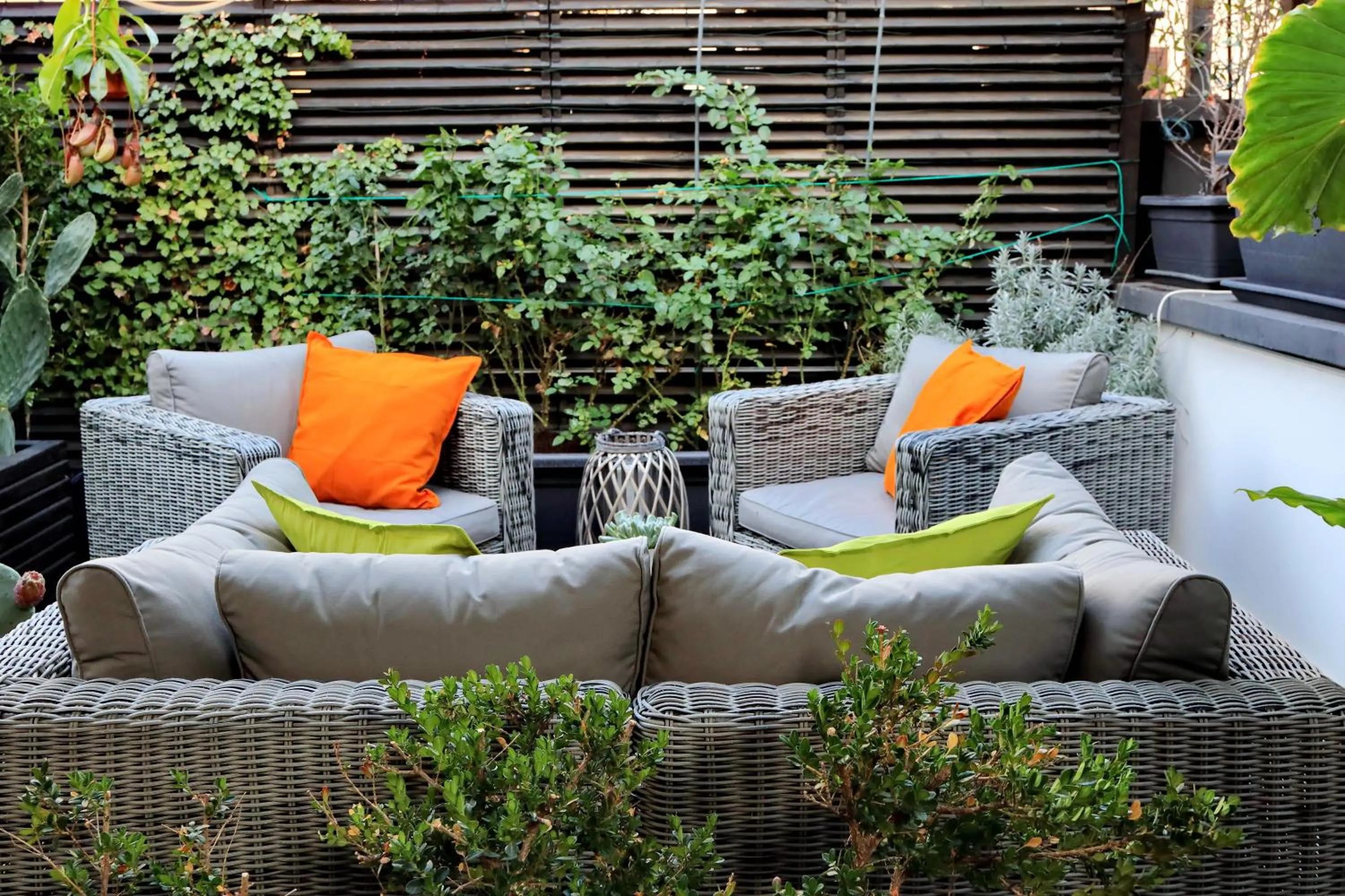 Balcony/Terrace in Vico Rooms and Terrace