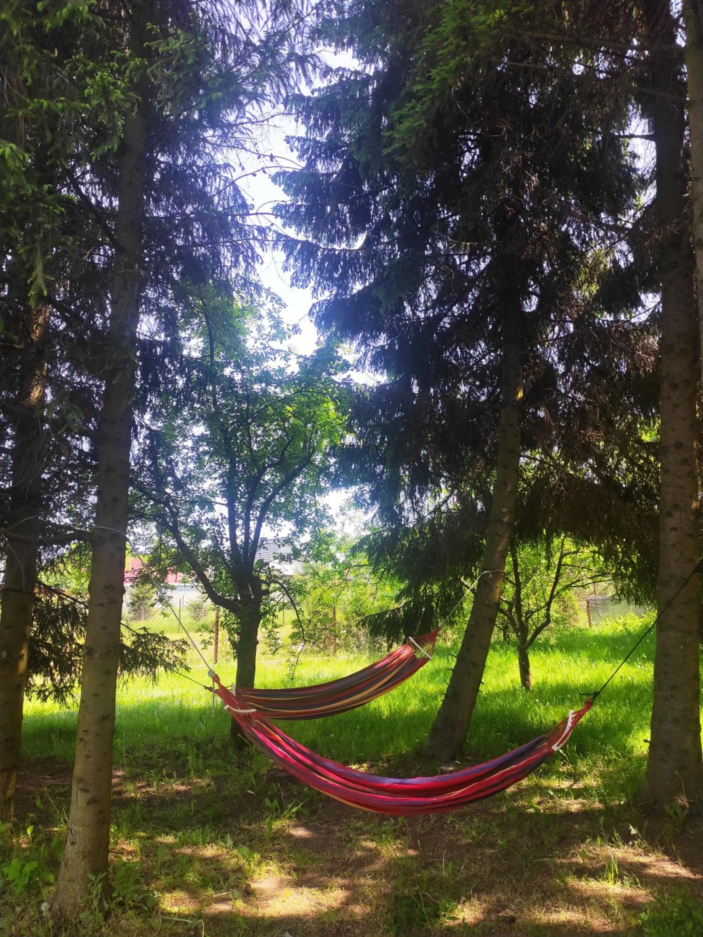 Spring in Gościniec Celina