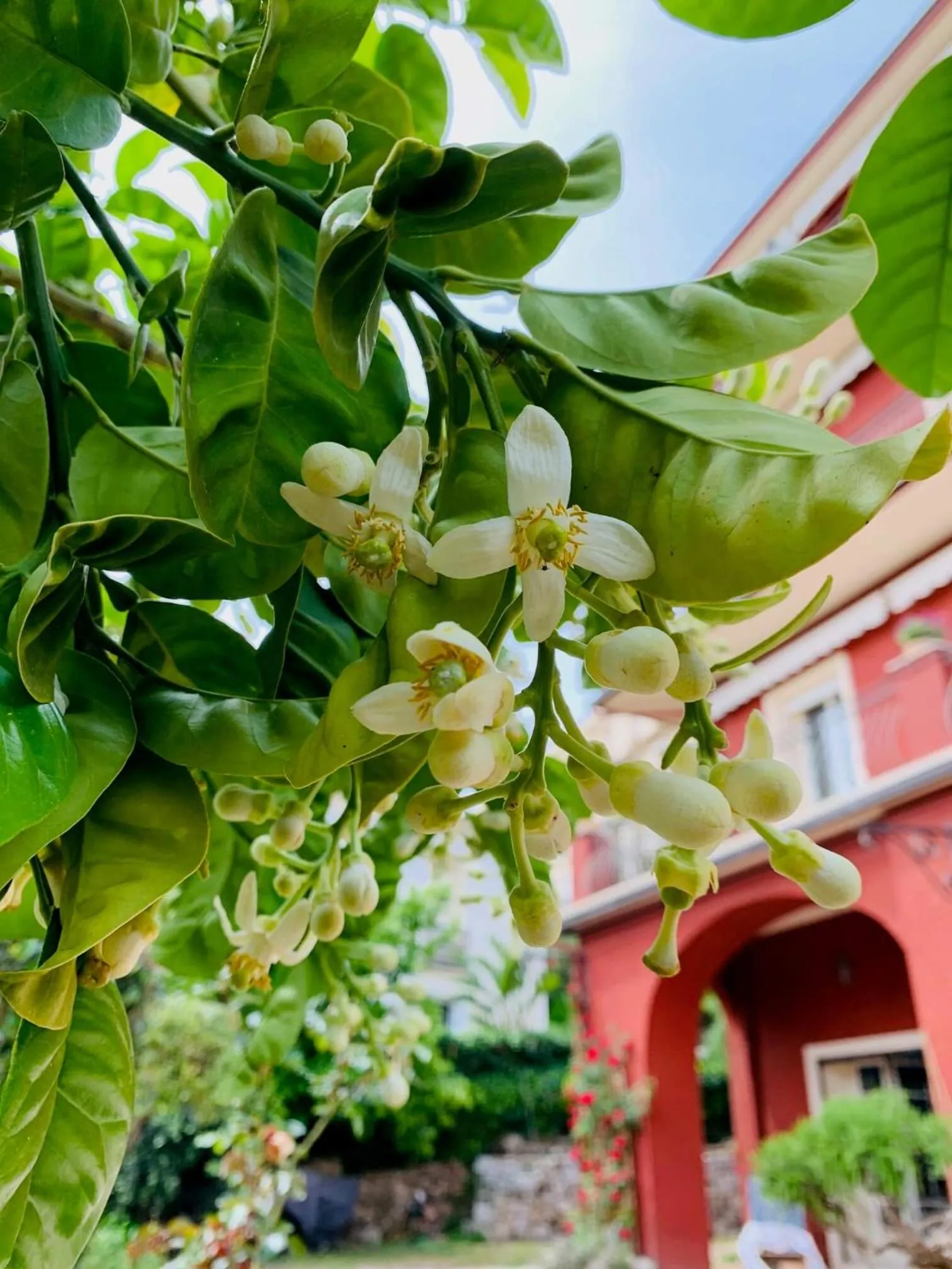 Facade/entrance in La Fabrique ¿oup¿