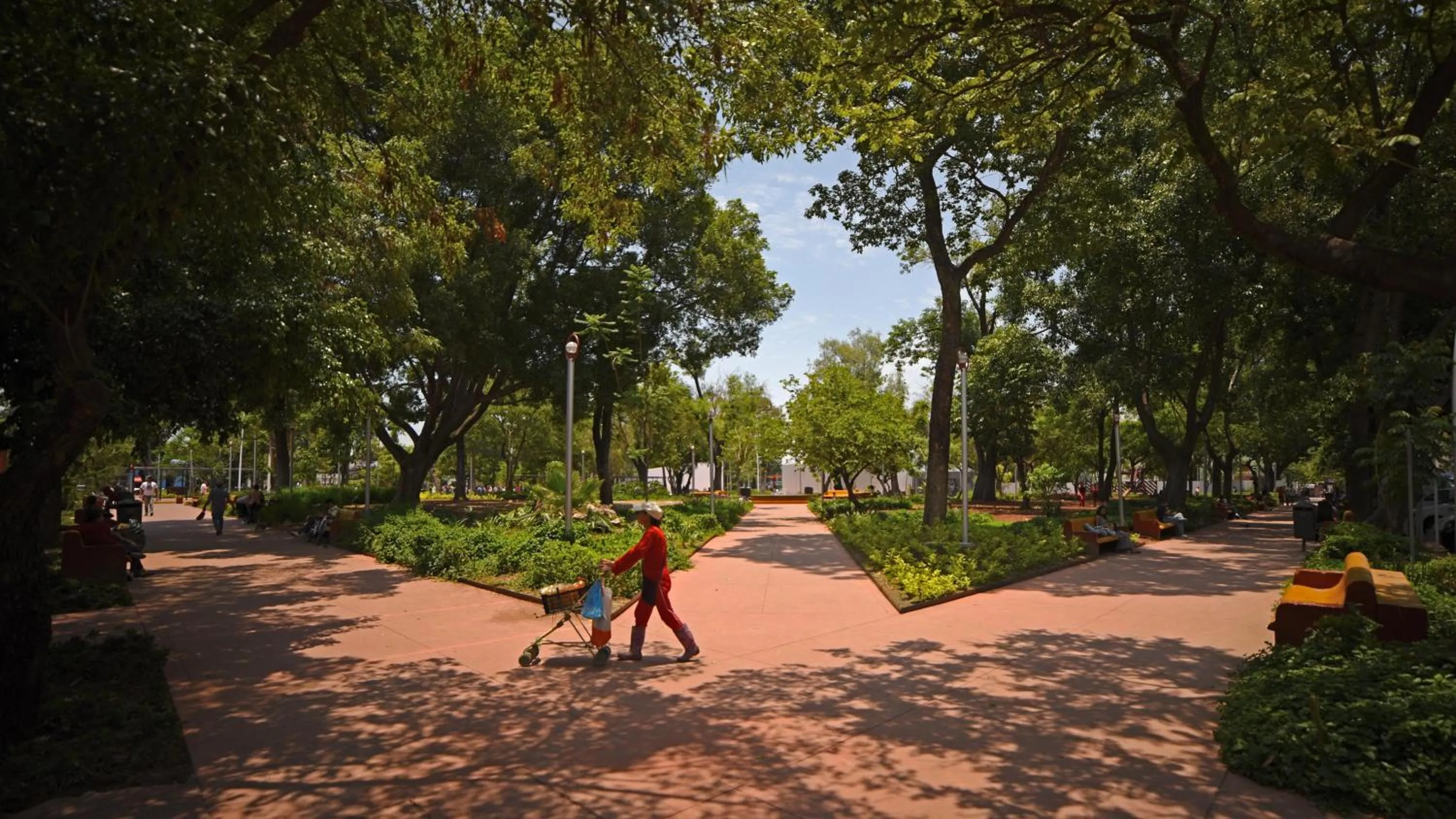 Garden view in Six Hotel Guadalajara Expiatorio