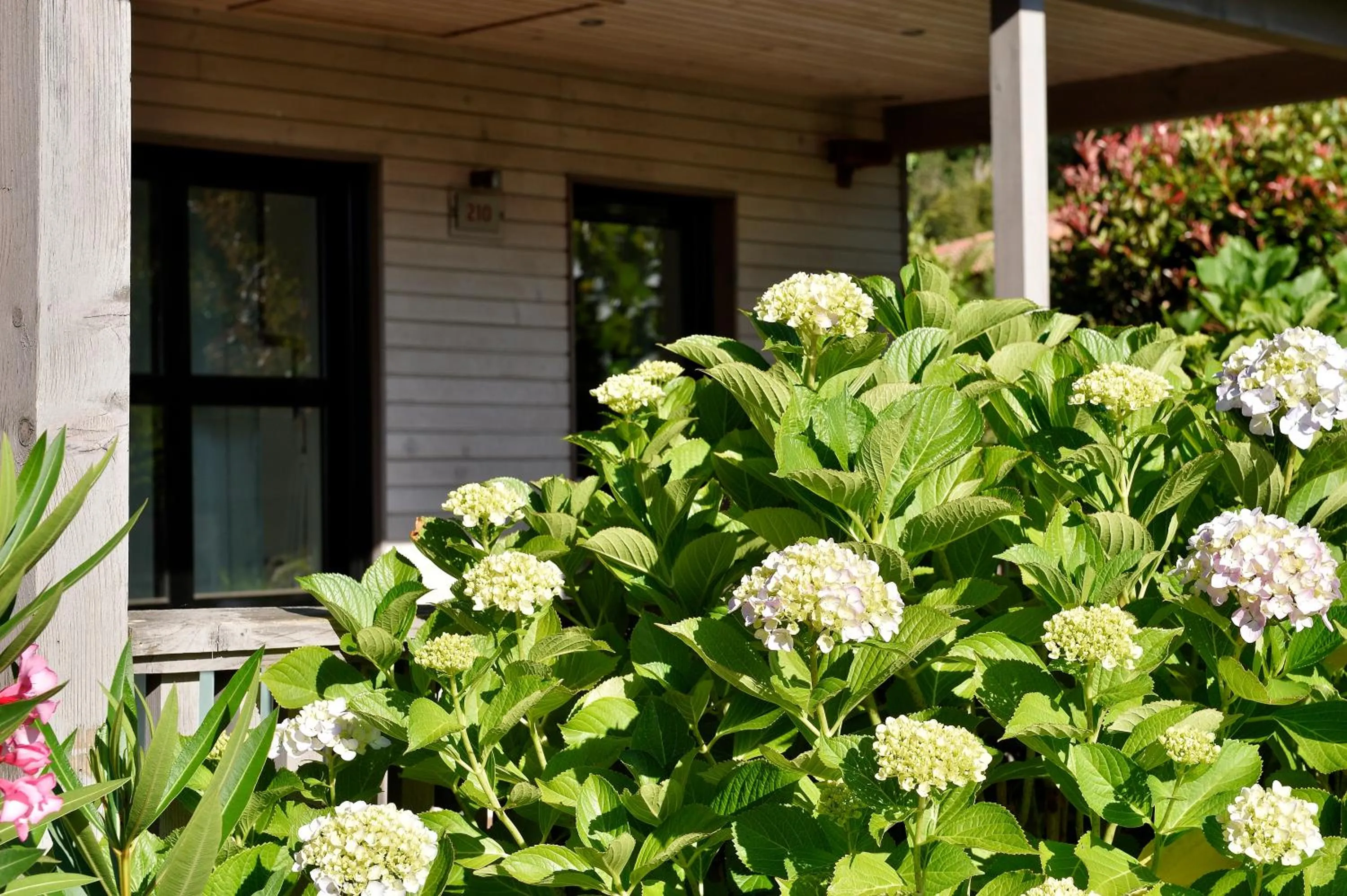 Patio in Résidence & Hotel U Livanti ECOLABEL