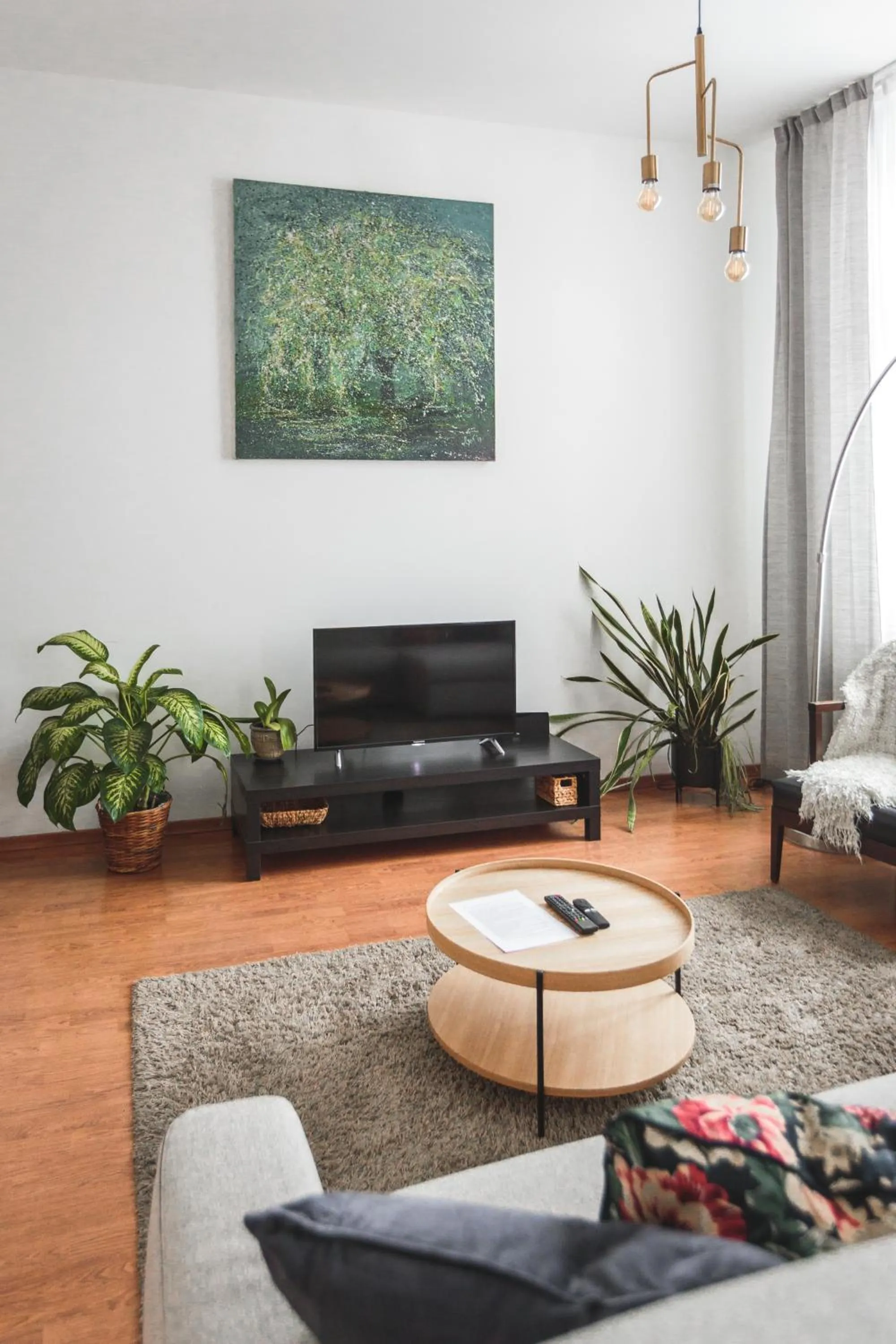 TV and multimedia in Bearsleys Downtown Apartments