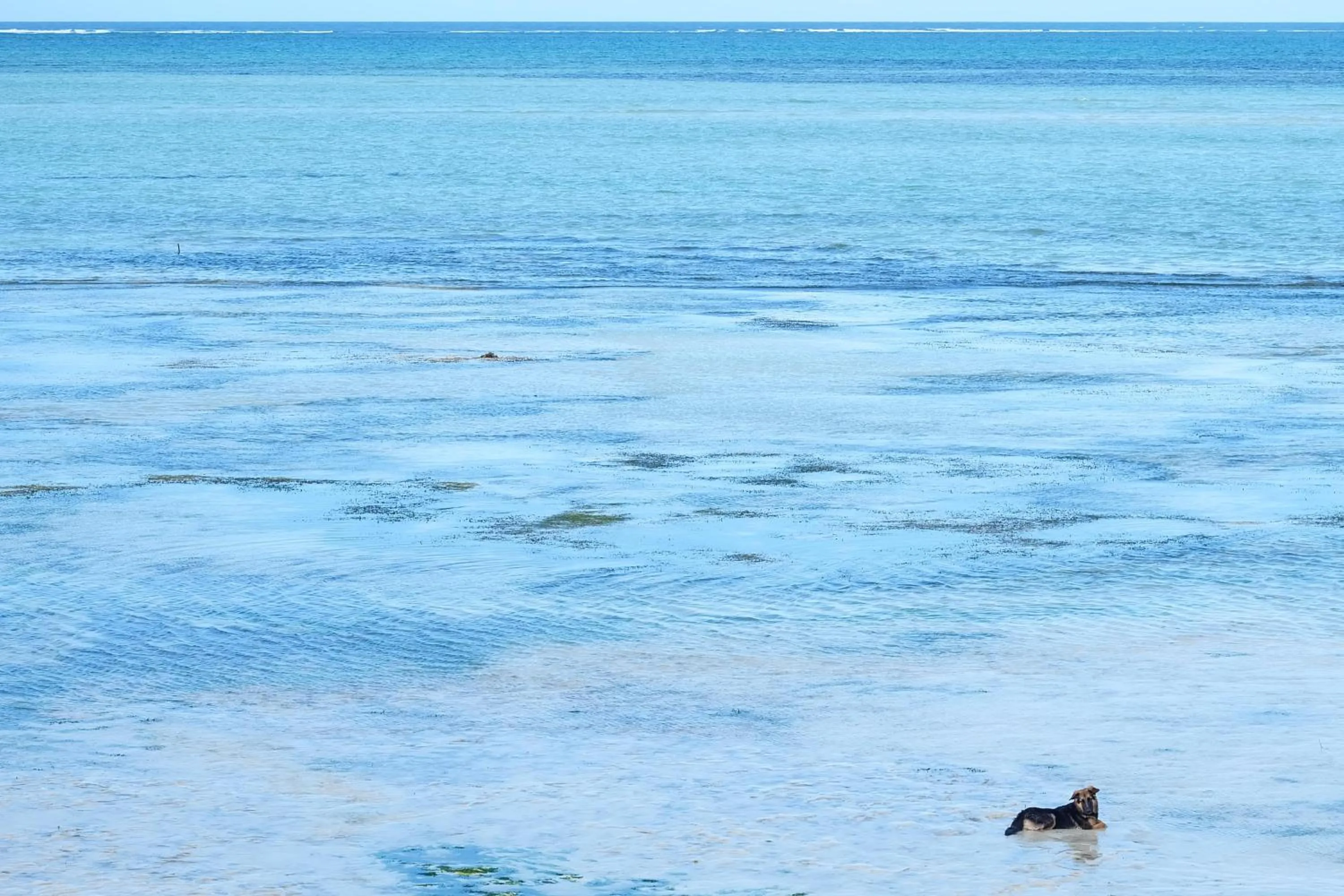 Beach in Seasons Lodge Zanzibar