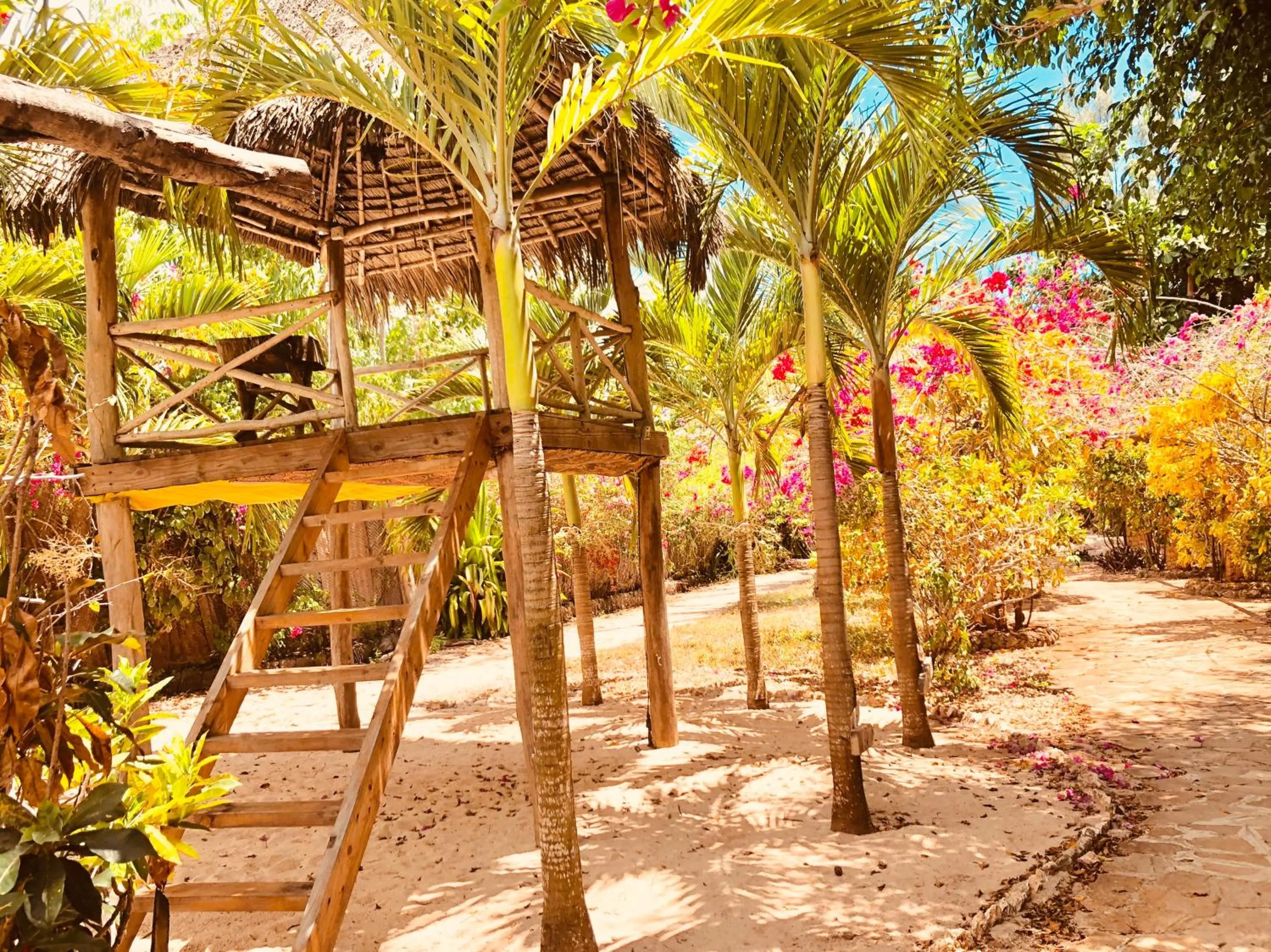 Garden in Seasons Lodge Zanzibar