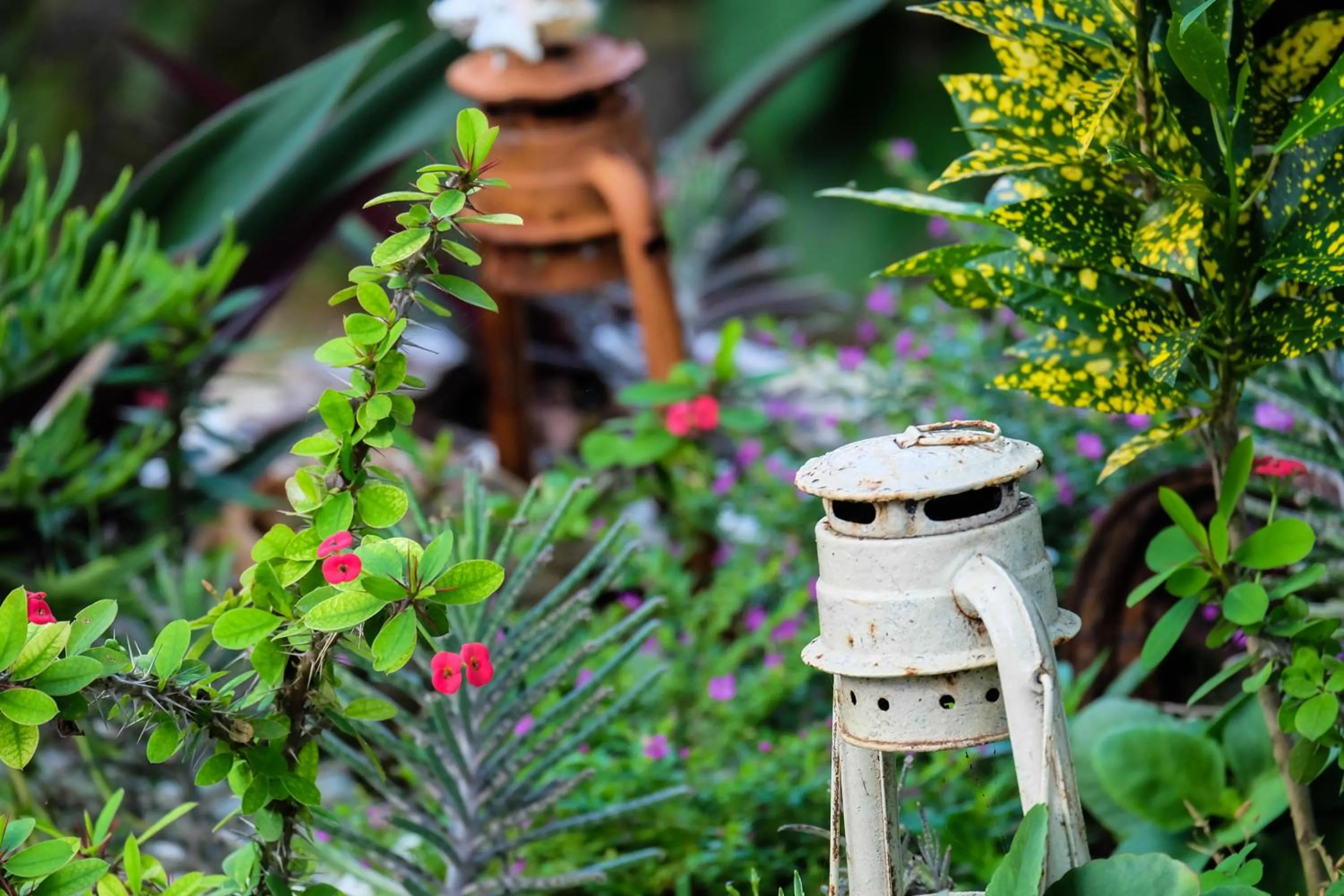 Garden in Seasons Lodge Zanzibar