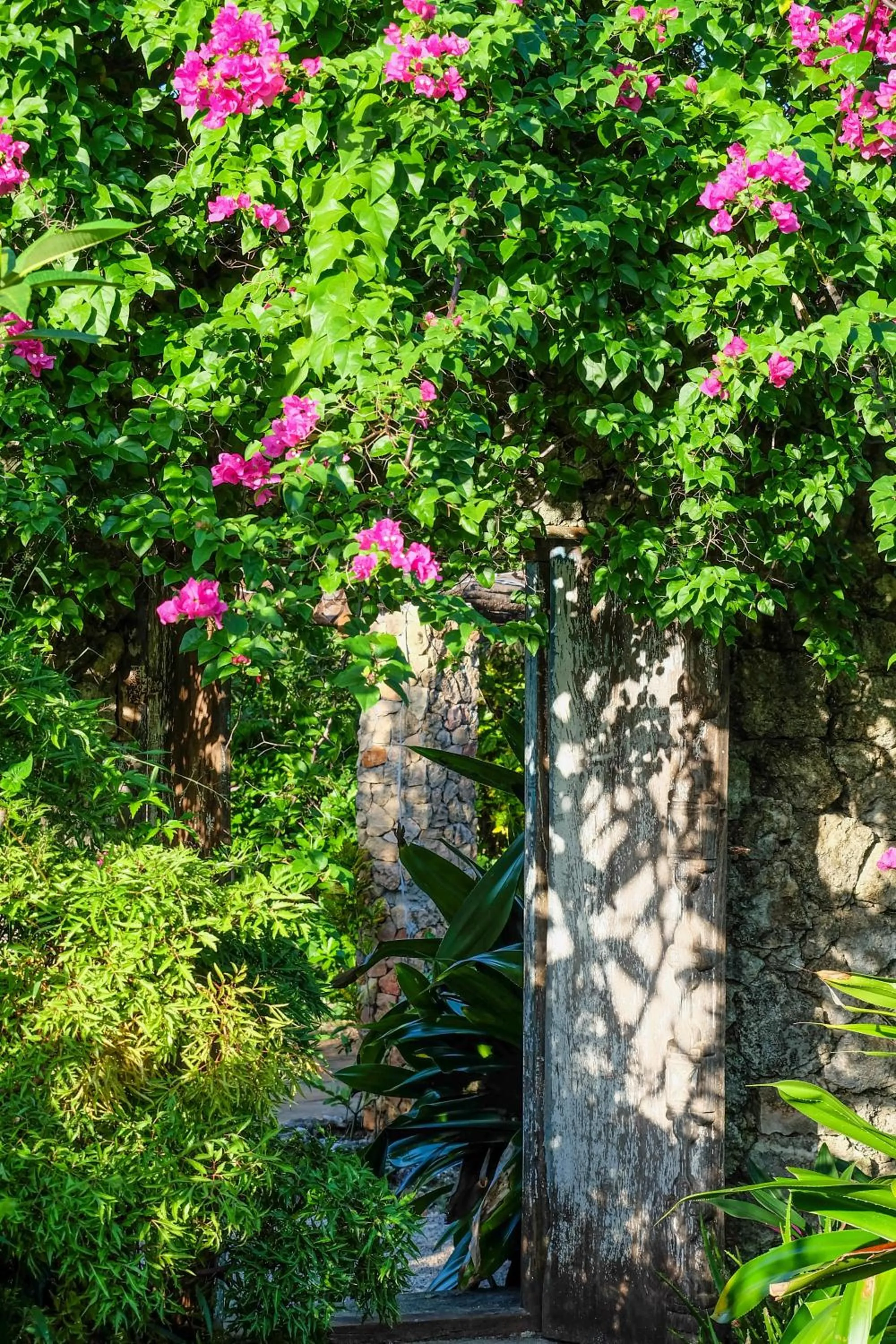 Garden in Seasons Lodge Zanzibar