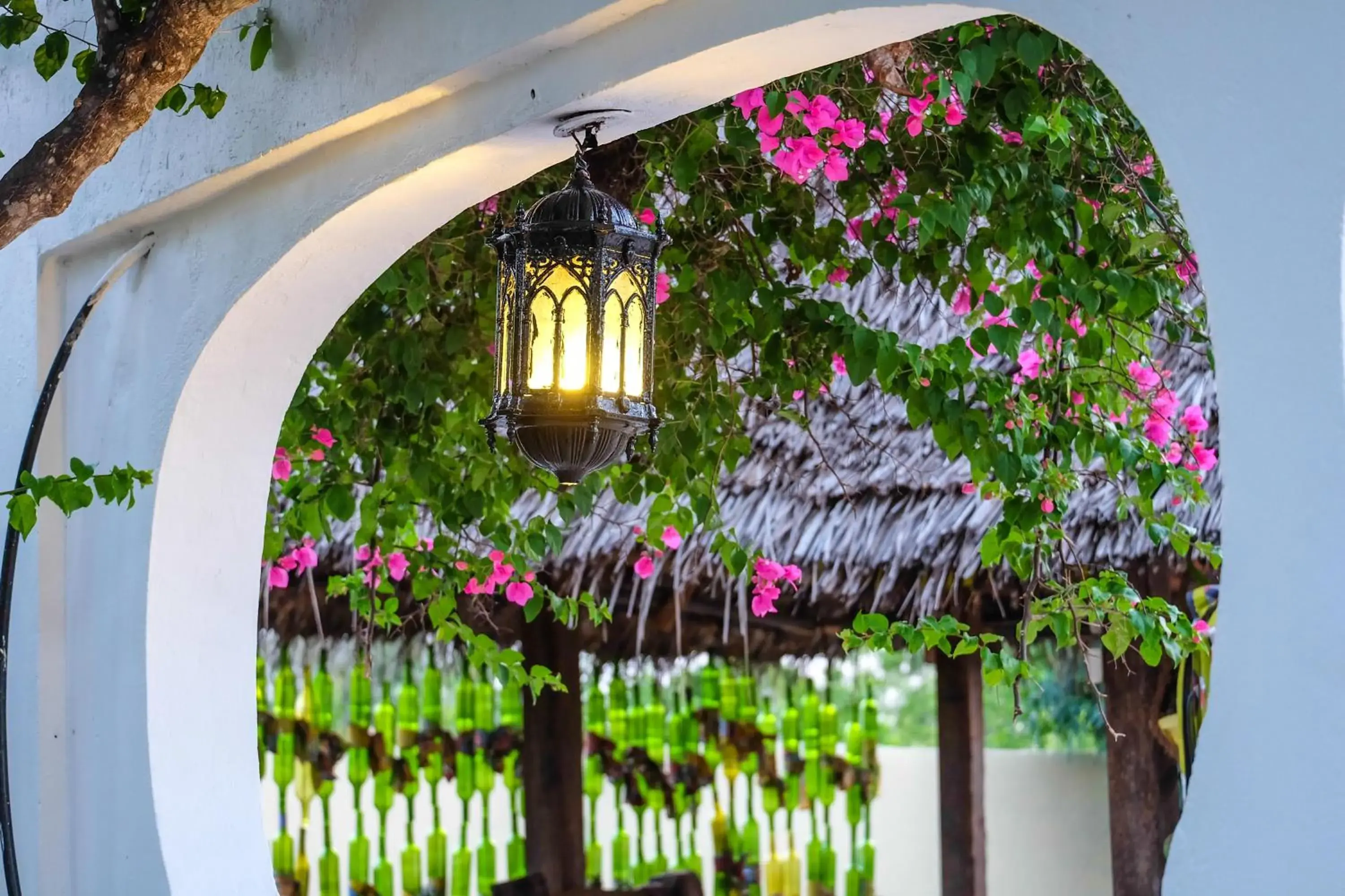 Garden view in Seasons Lodge Zanzibar Garden view in Seasons Lodge Zanzibar