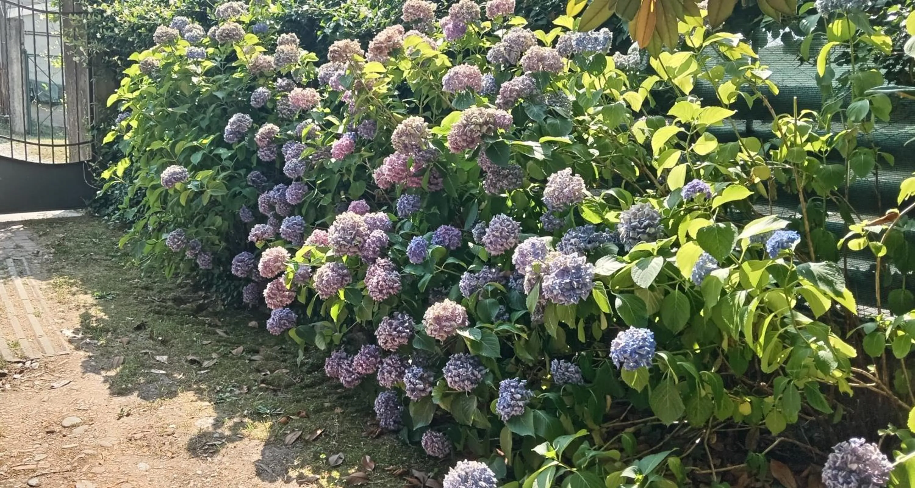 Il Nido del Pettirosso