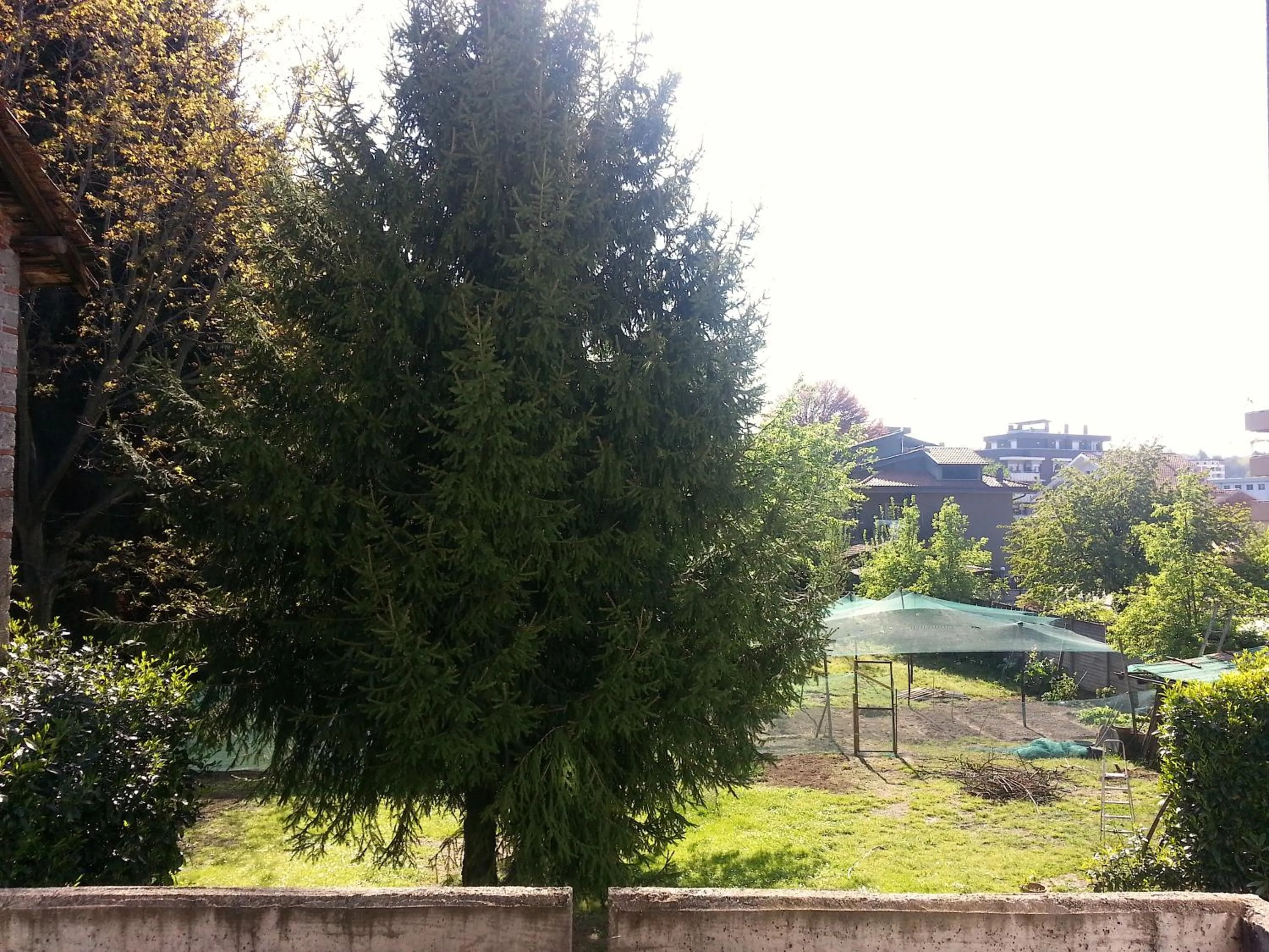 Garden in Il Nido del Pettirosso