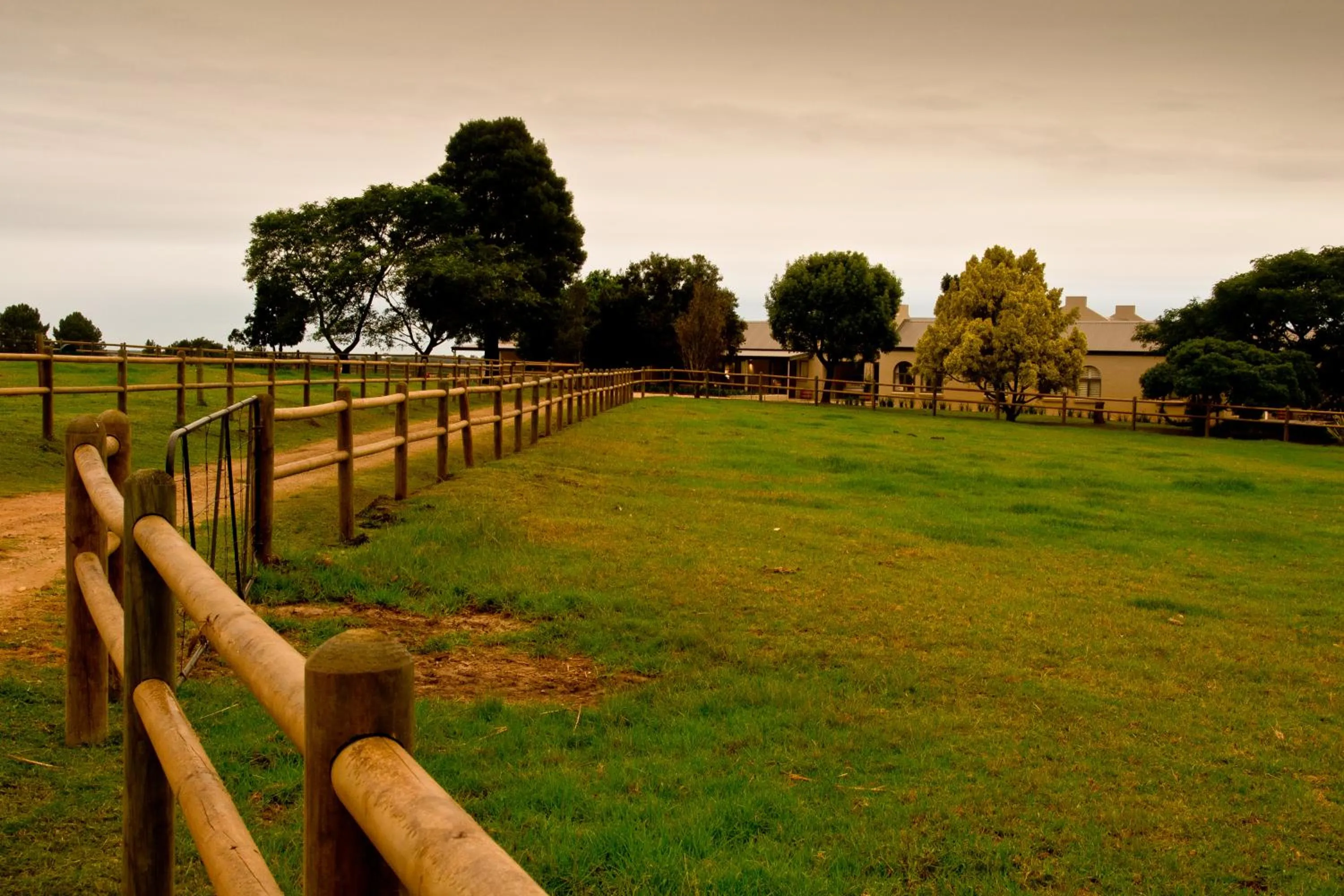 Kay and Monty Vineyard View