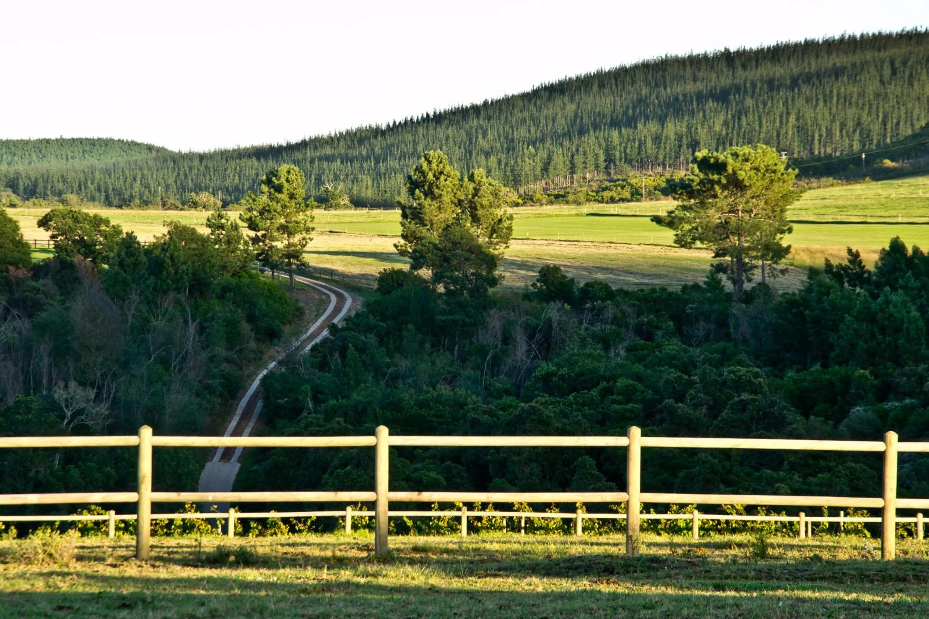 Kay and Monty Vineyard View