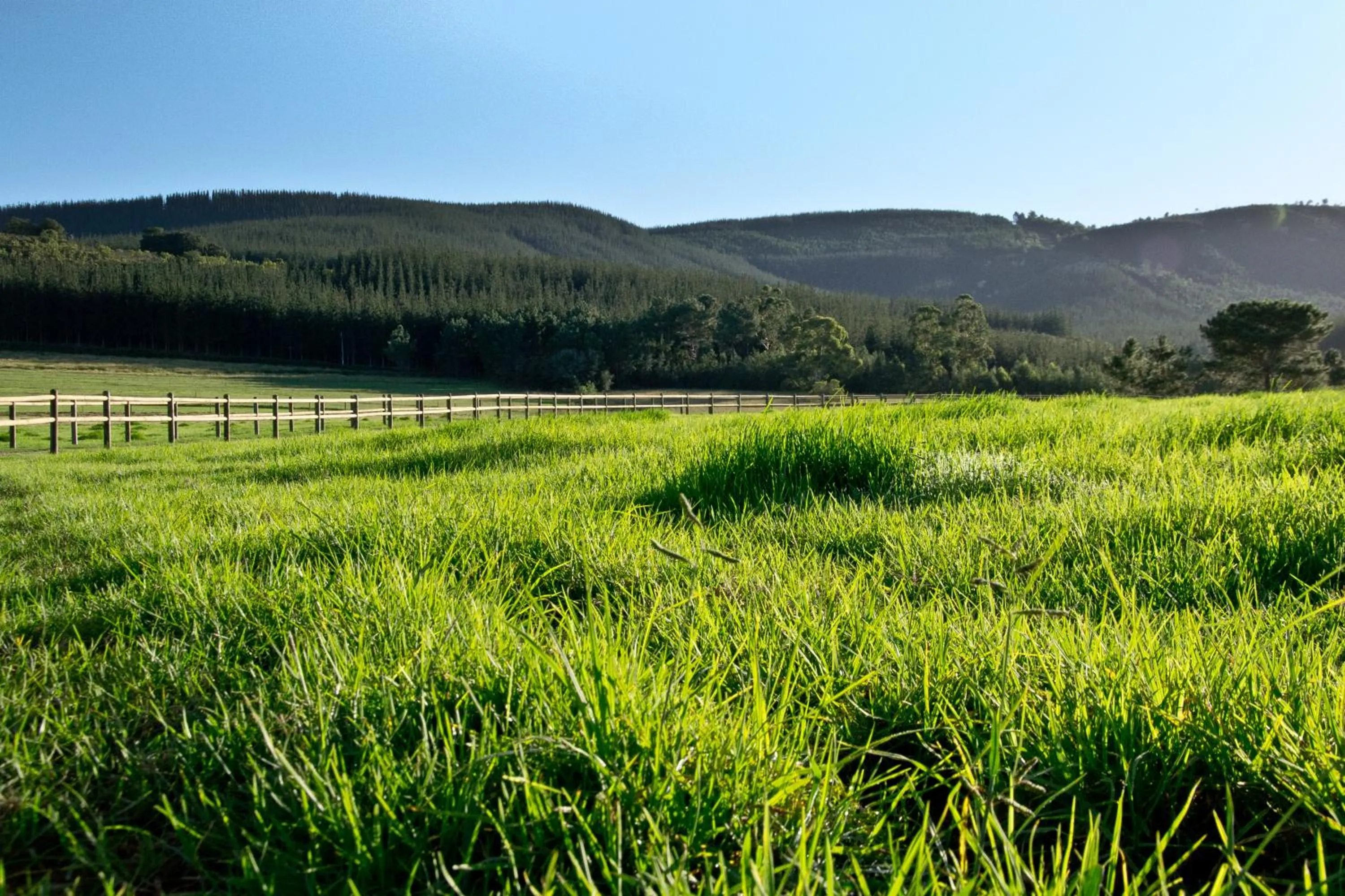 Kay and Monty Vineyard View