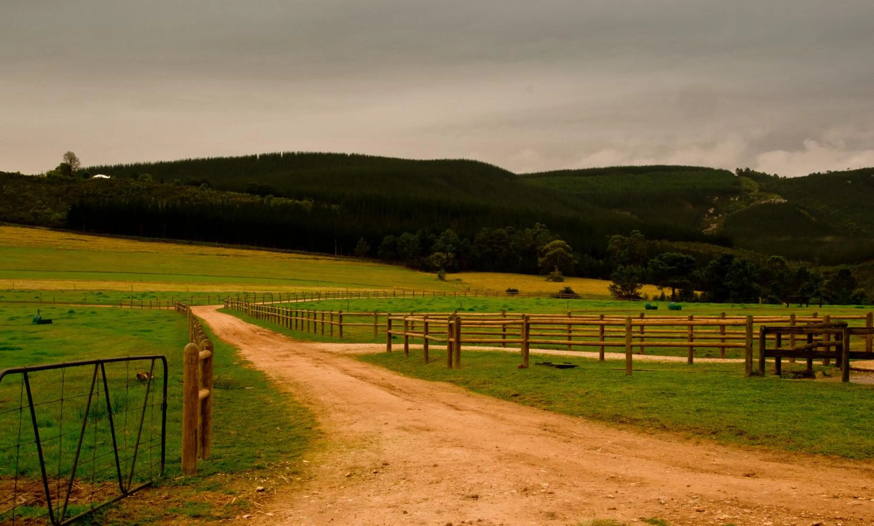 Kay and Monty Vineyard View