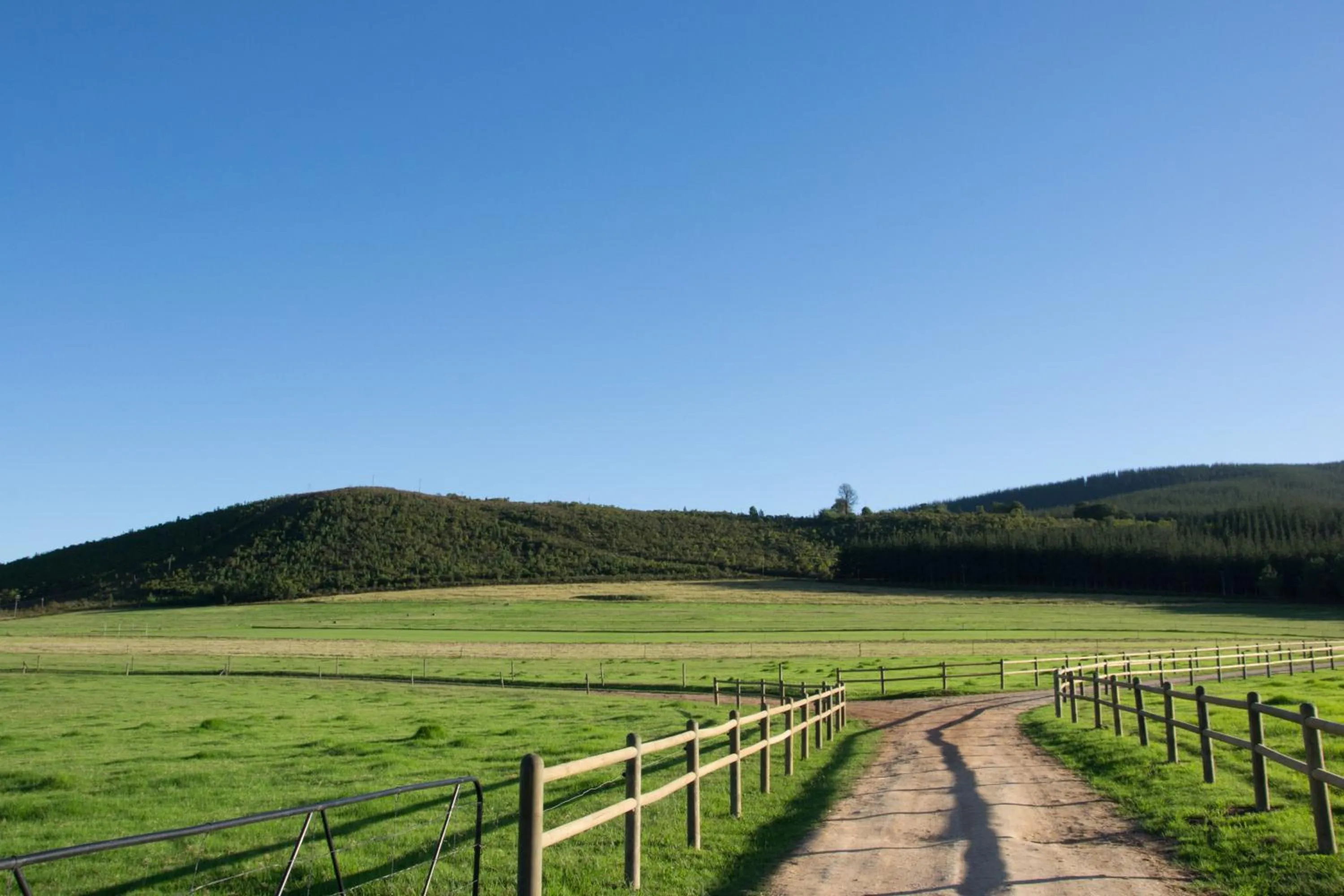 Kay and Monty Vineyard View