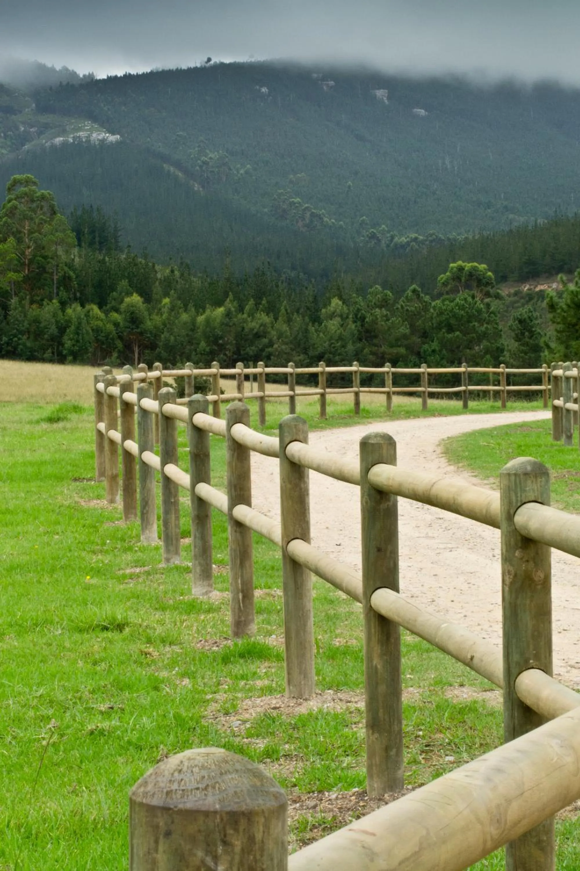 Kay and Monty Vineyard View