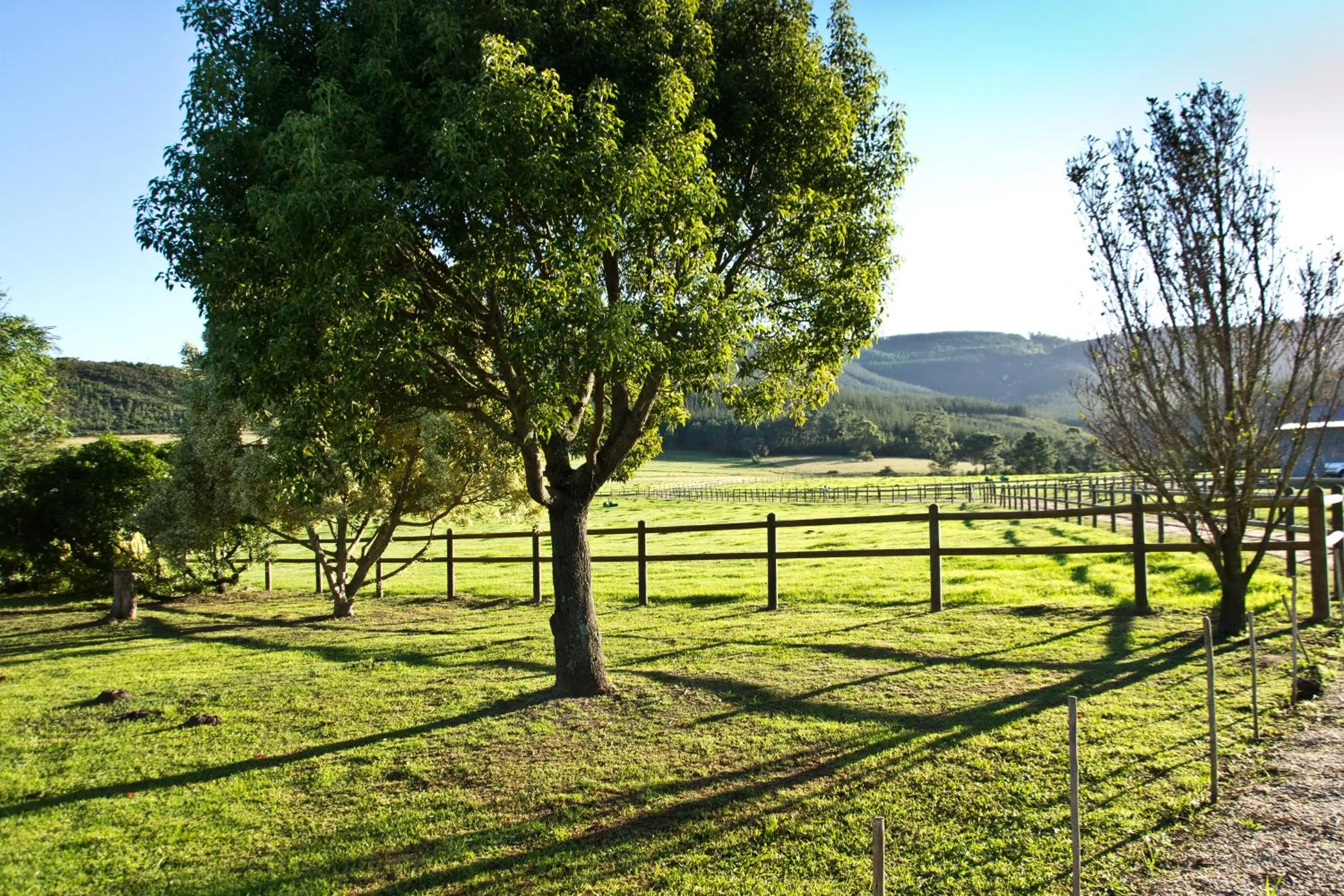 Kay and Monty Vineyard View