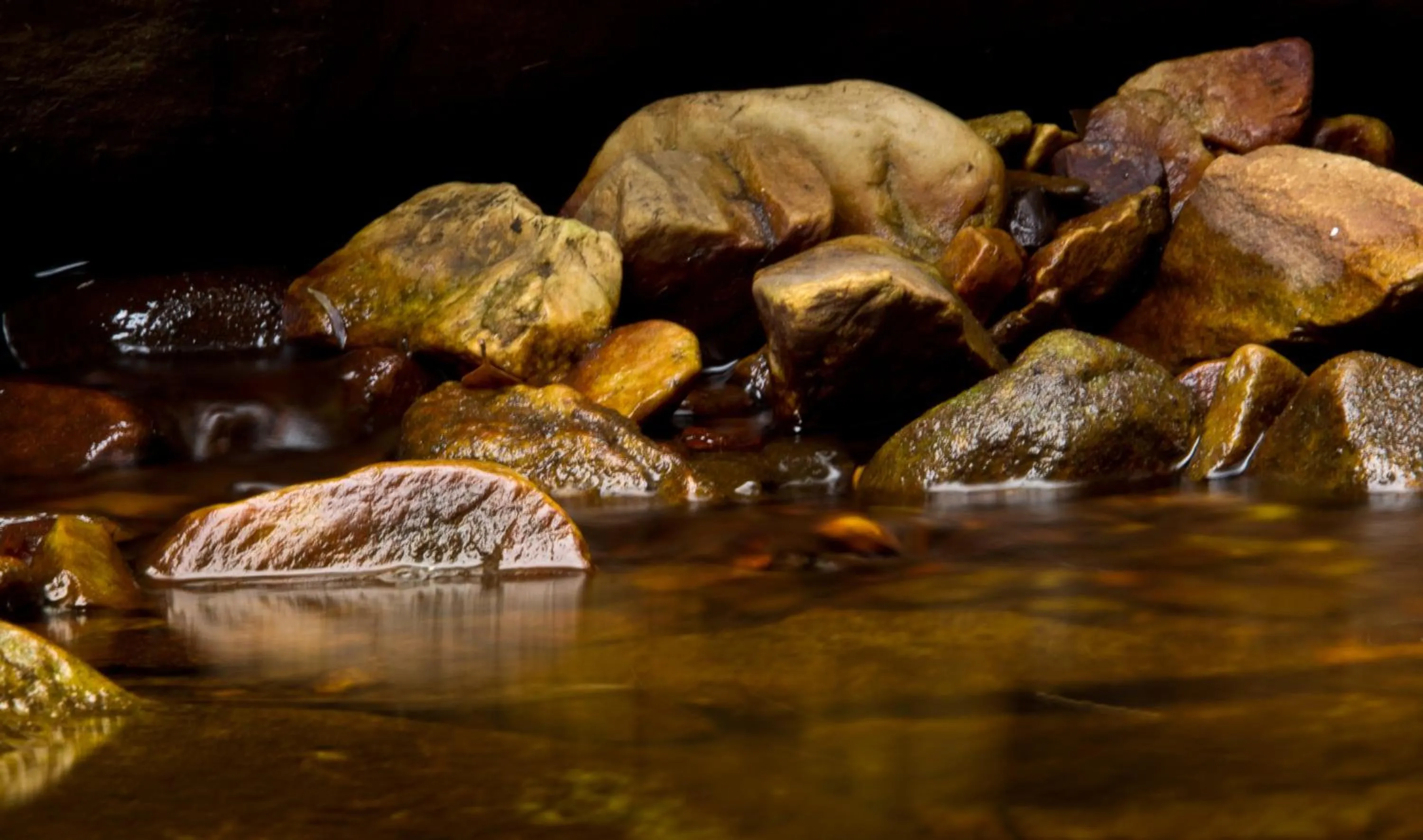 Kay and Monty Vineyard View