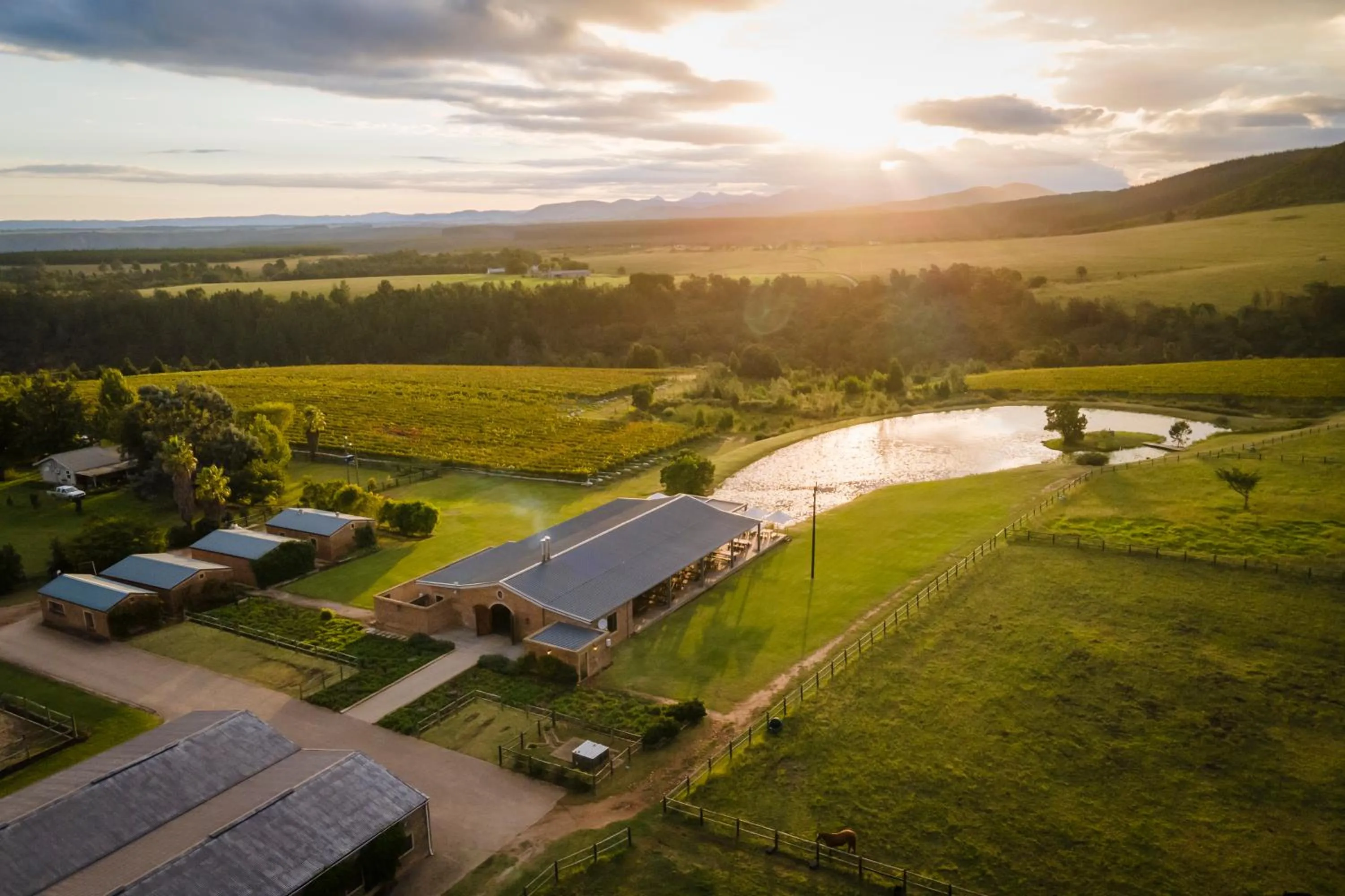 Restaurant/places to eat in Kay and Monty Vineyard View