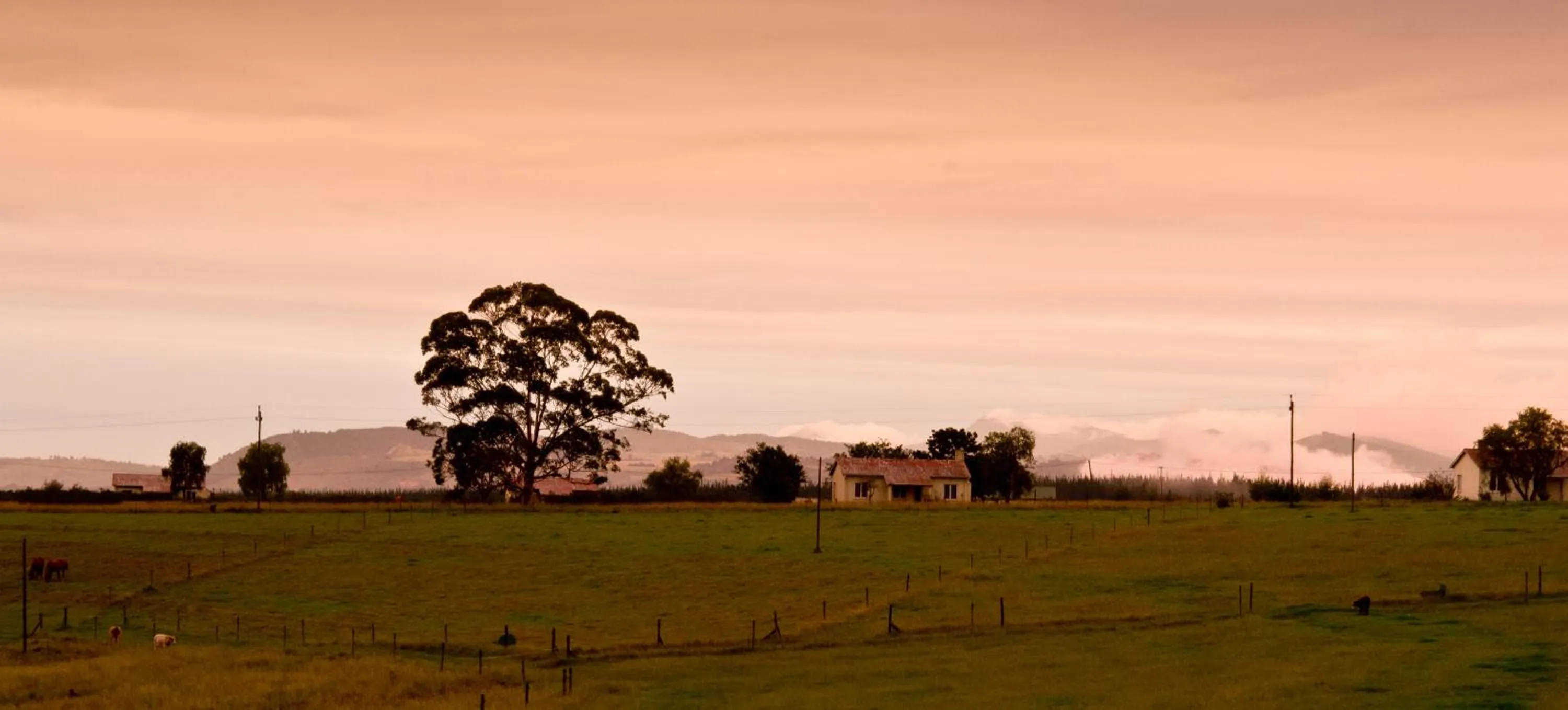 Kay and Monty Vineyard View
