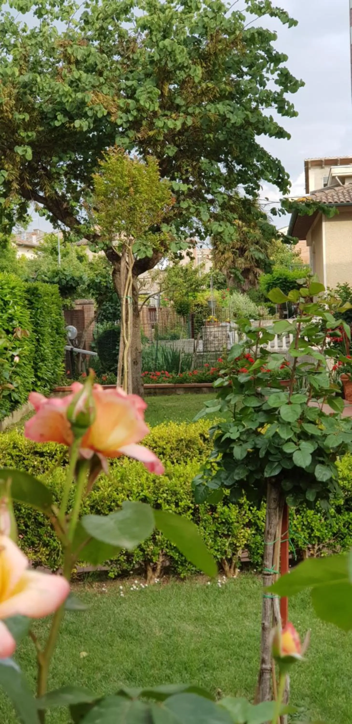 La Casa di Gigliola