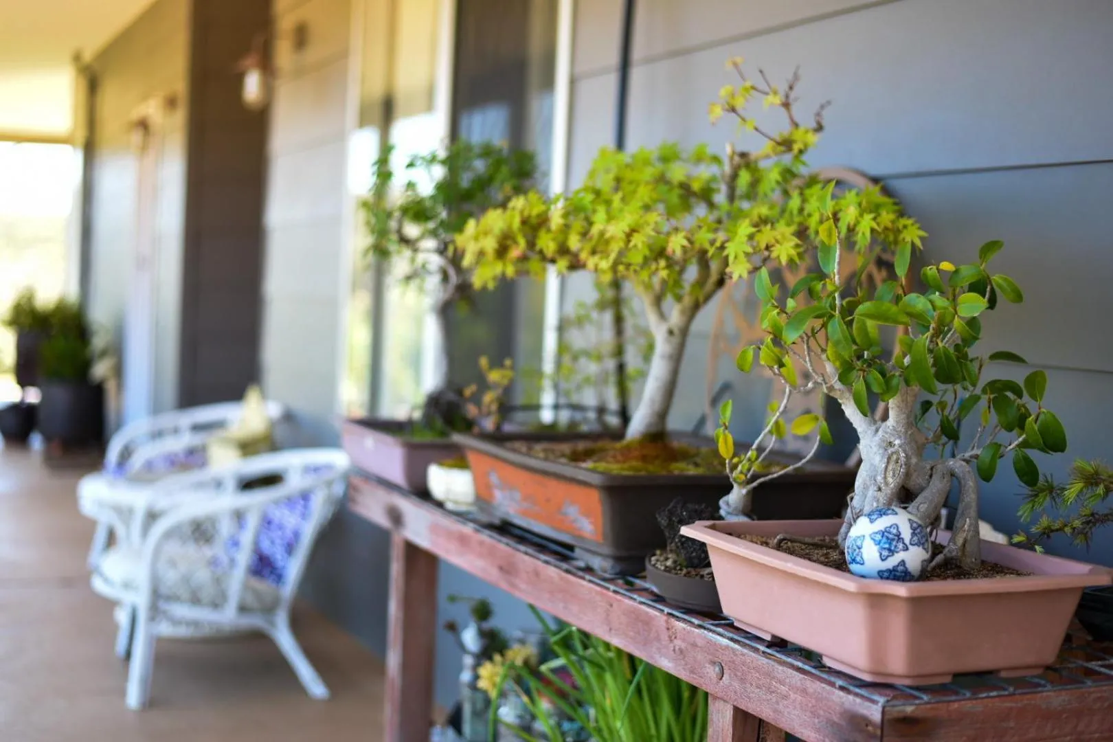 Garden in Bremer Bay B&B