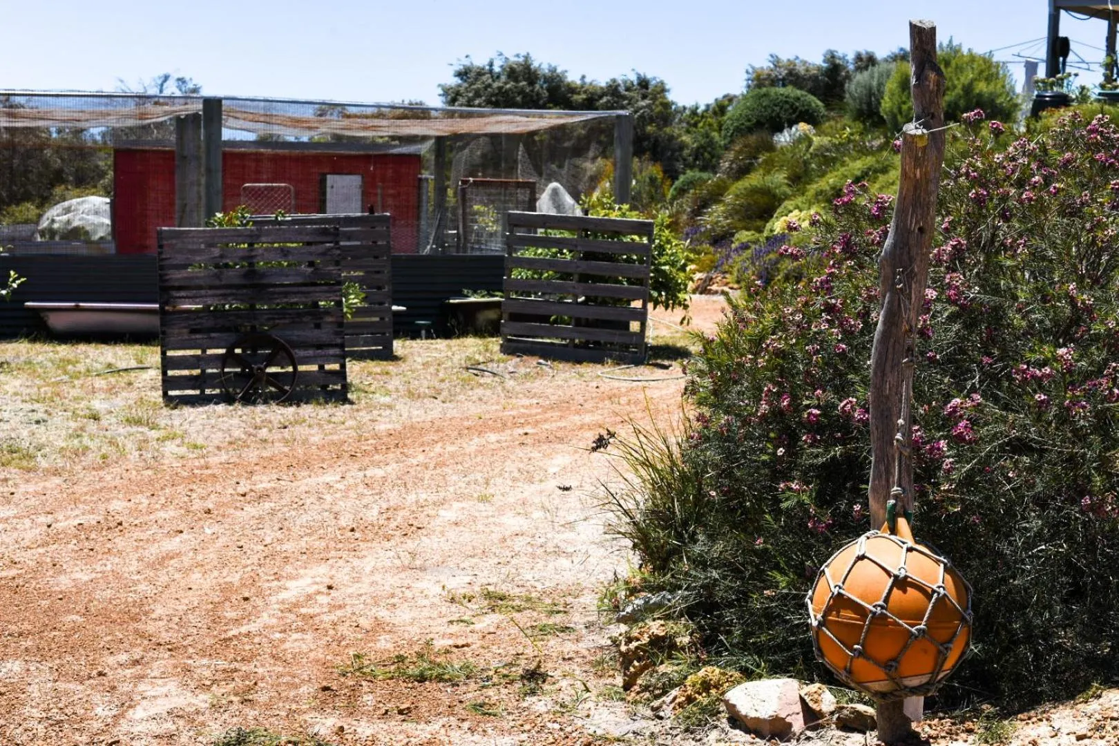 Garden in Bremer Bay B&B