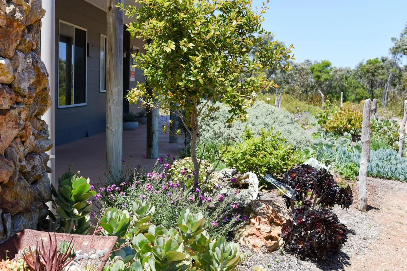 Garden in Bremer Bay B&B