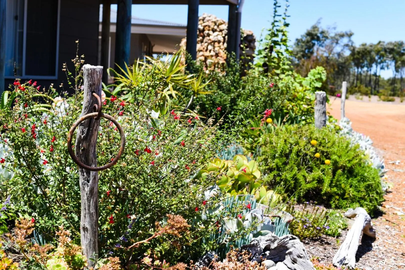 Garden in Bremer Bay B&B