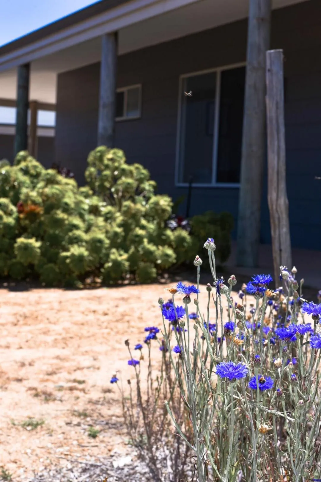 Facade/entrance in Bremer Bay B&B