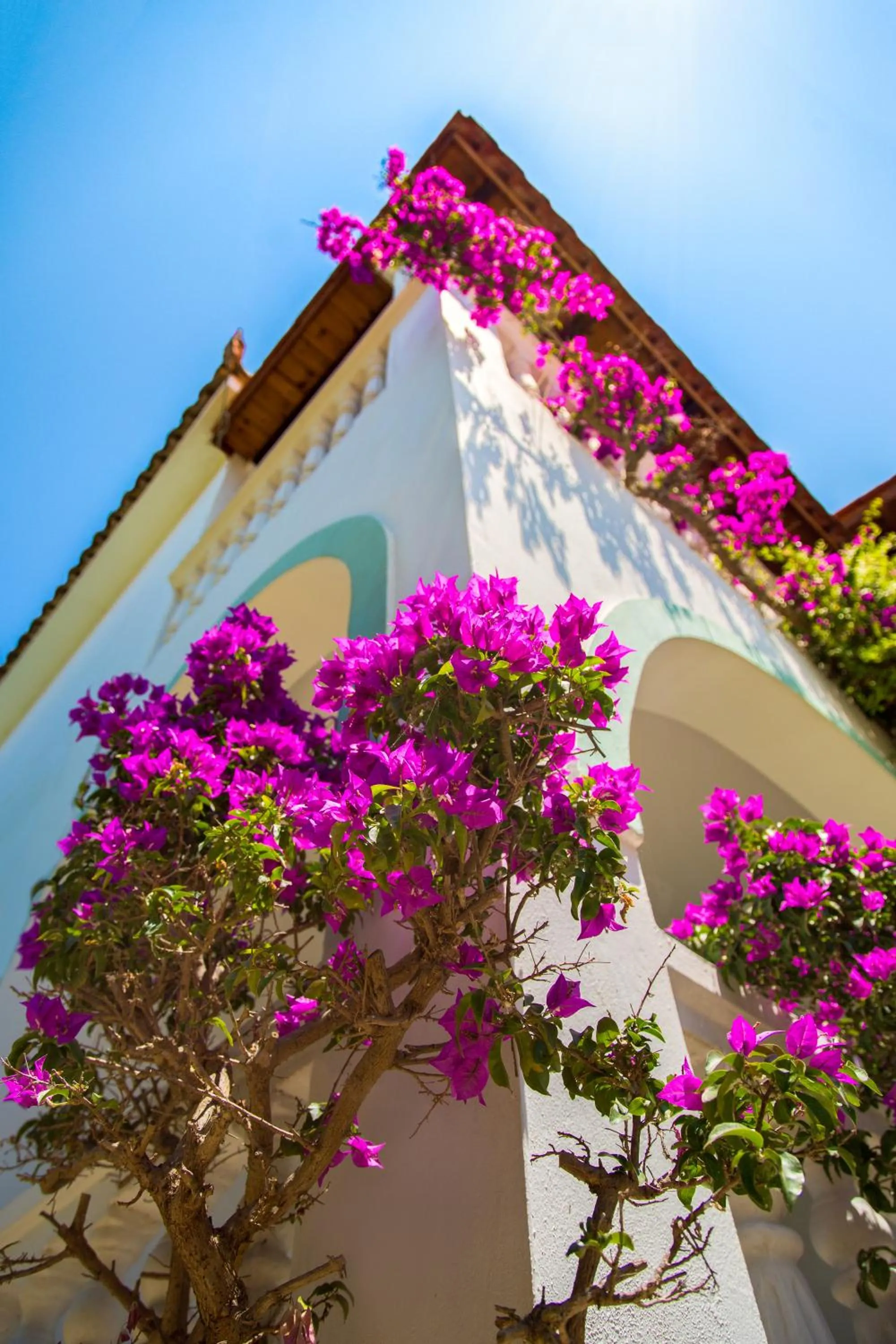 Facade/entrance in Romantic Studios